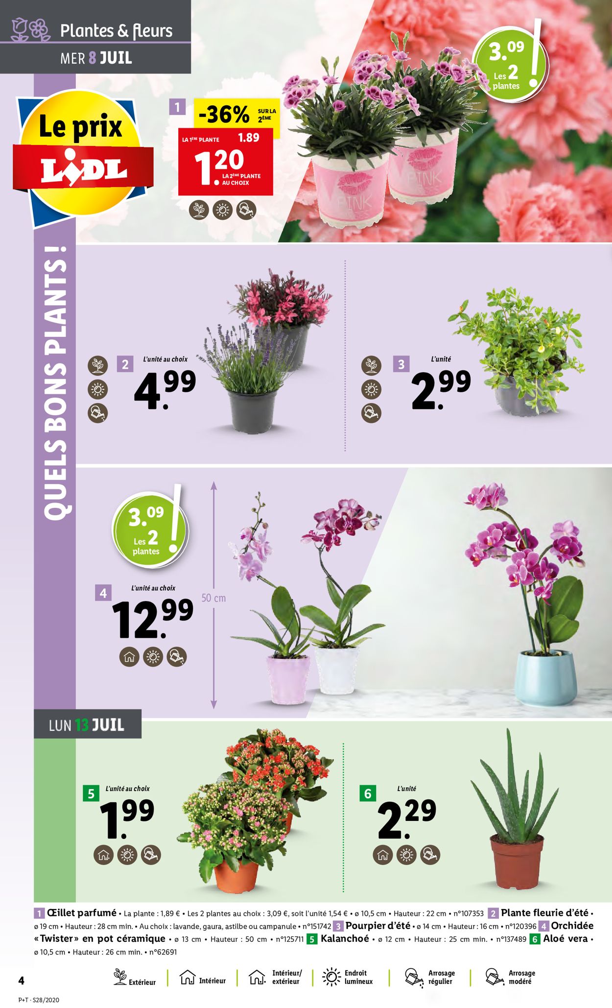 Lidl Catalogue - 08.07-14.07.2020 (Page 4)