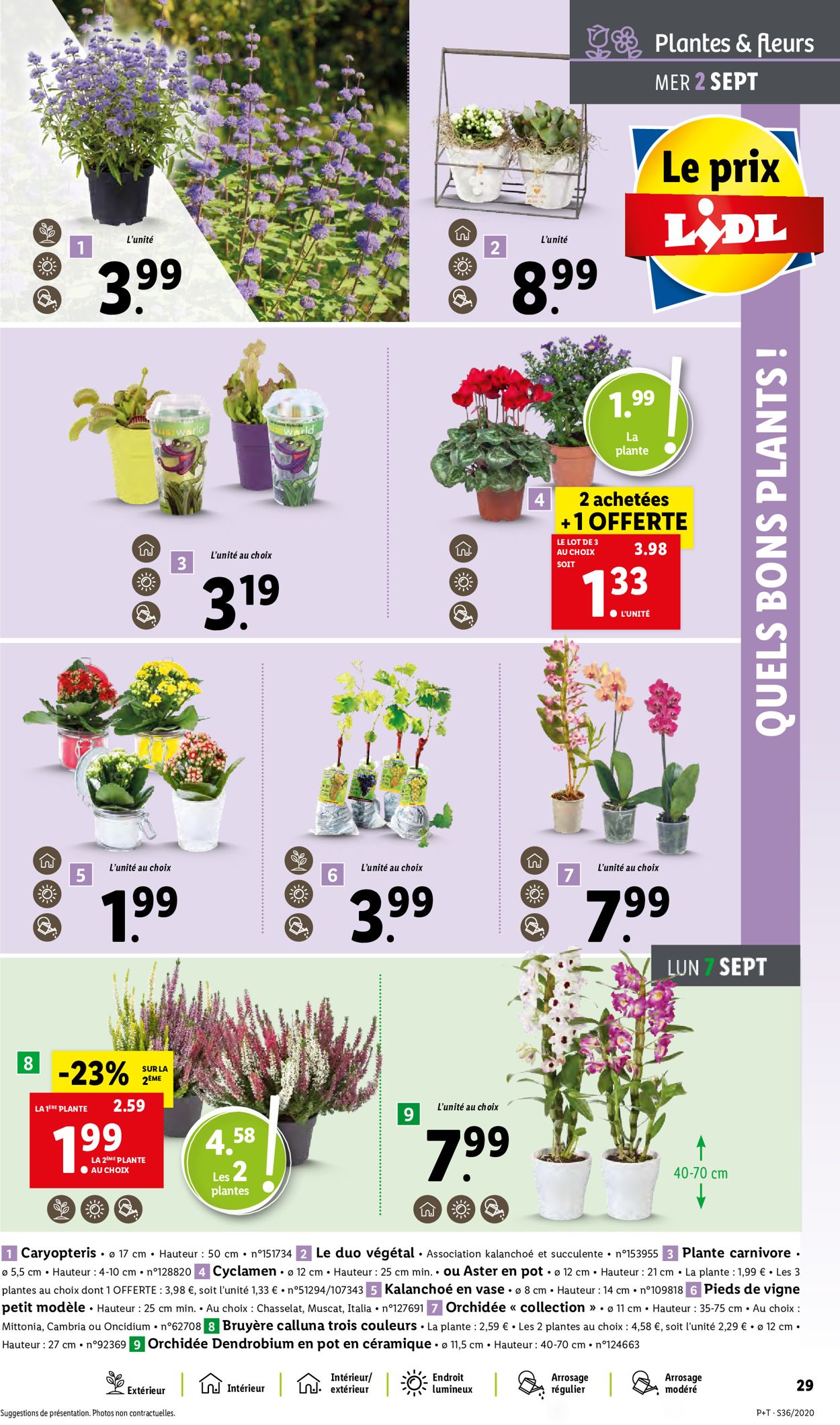 Lidl Catalogue - 02.09-08.09.2020 (Page 29)