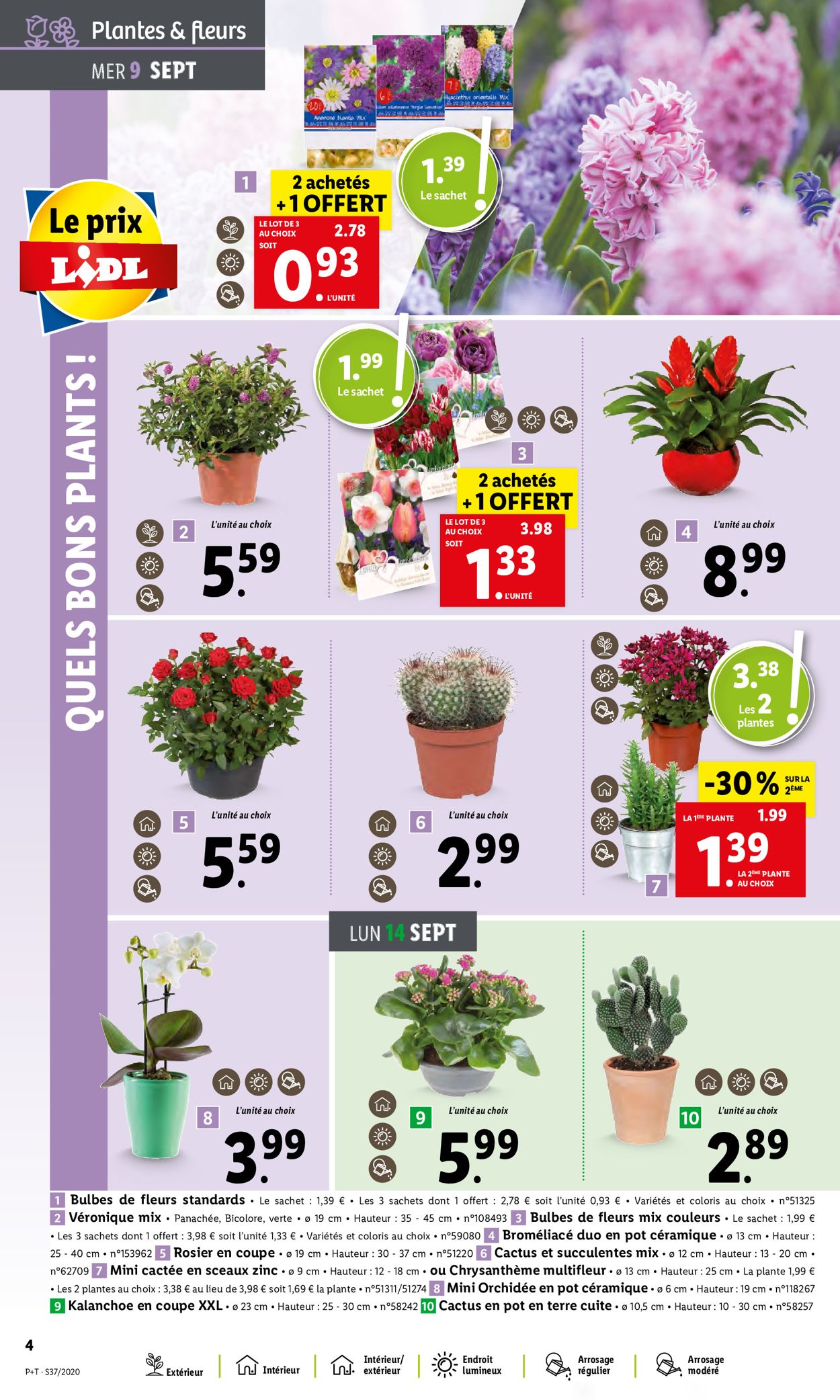 Lidl Catalogue - 09.09-15.09.2020 (Page 4)