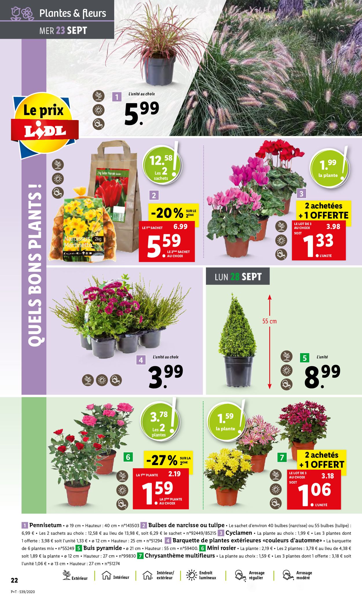 Lidl Catalogue - 23.09-29.09.2020 (Page 22)