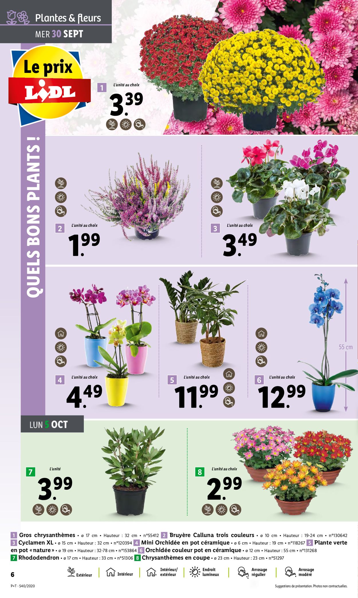 Lidl Catalogue - 30.09-06.10.2020 (Page 6)