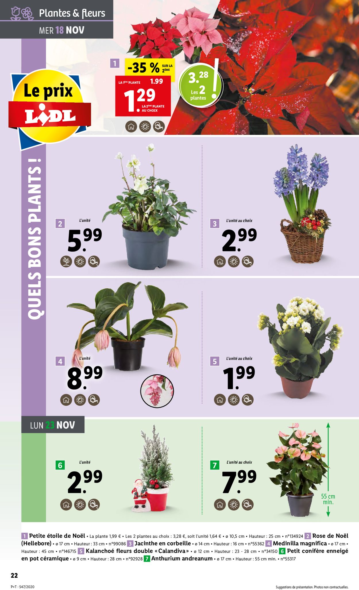 Lidl Catalogue - 18.11-24.11.2020 (Page 22)
