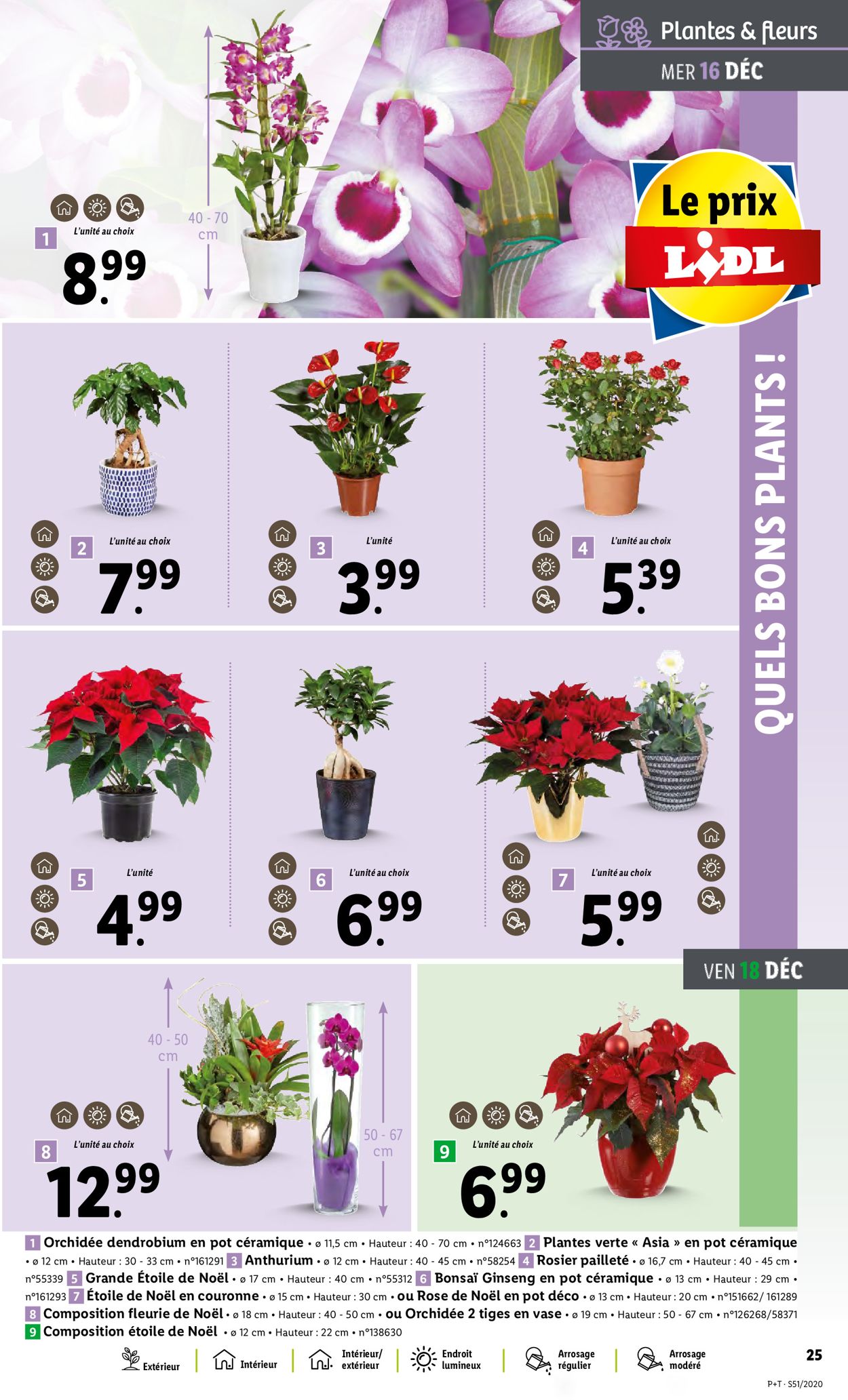 Lidl Catalogue - 16.12-22.12.2020 (Page 29)