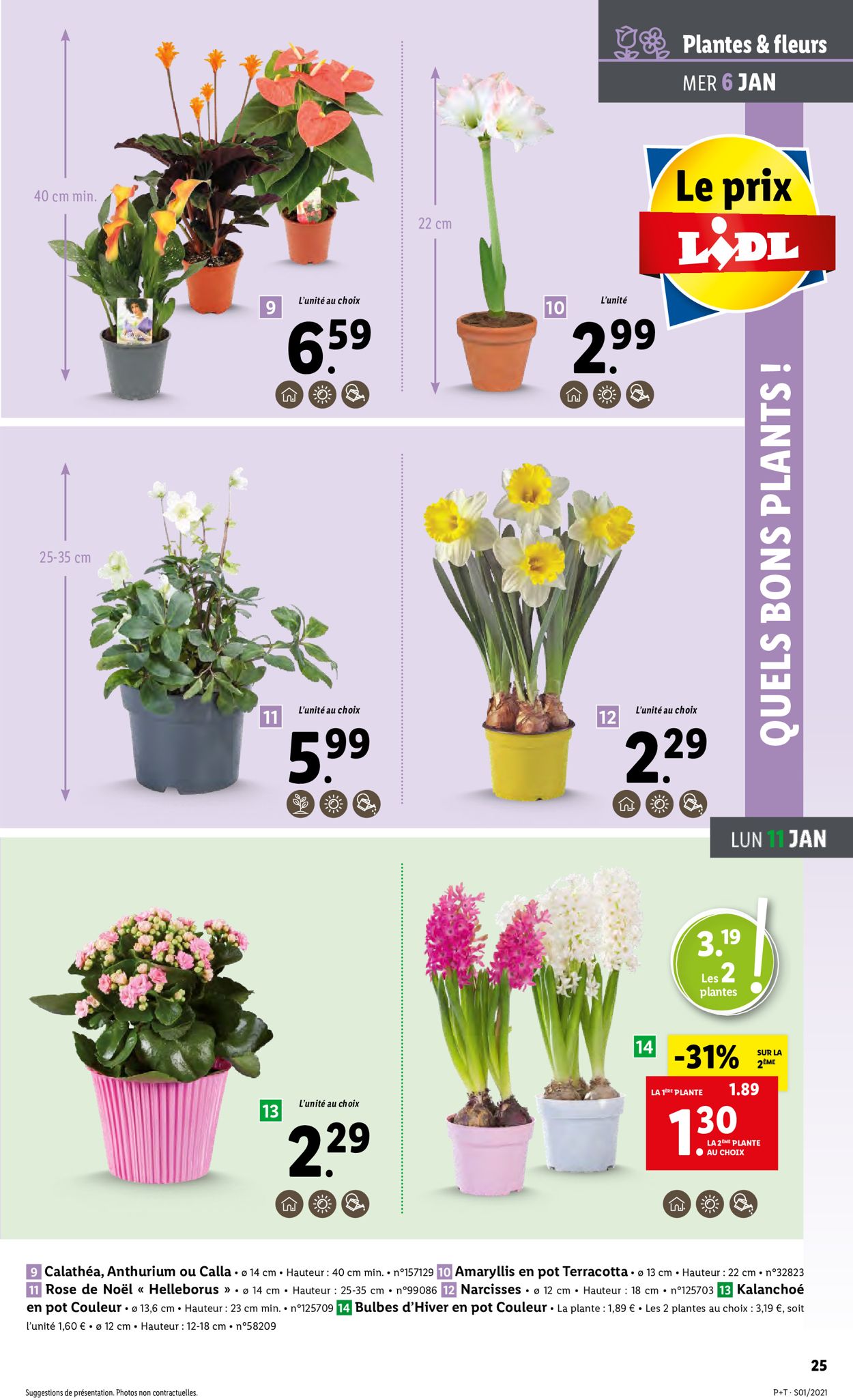 Lidl Catalogue - 06.01-12.01.2021 (Page 25)