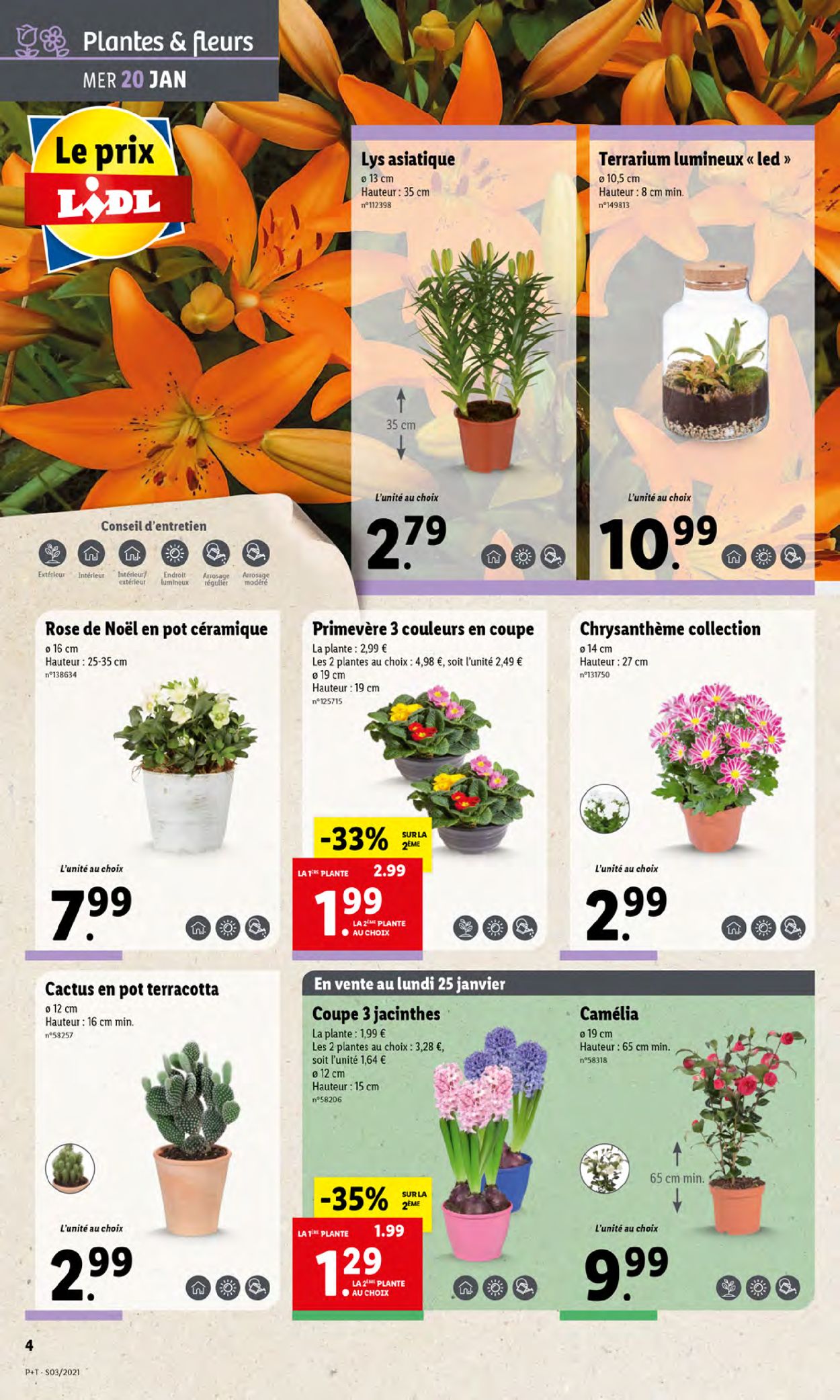 Lidl Catalogue - 20.01-26.01.2021 (Page 4)