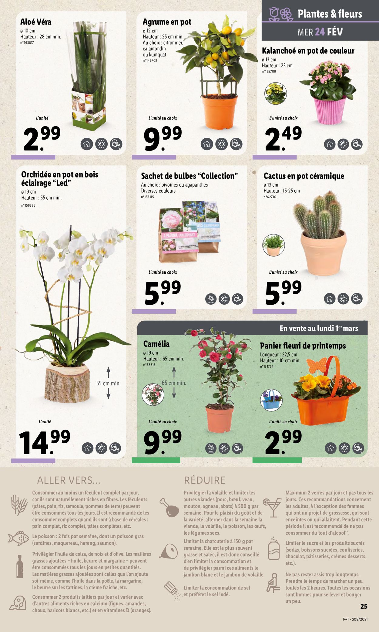Lidl Catalogue - 24.02-02.03.2021 (Page 25)
