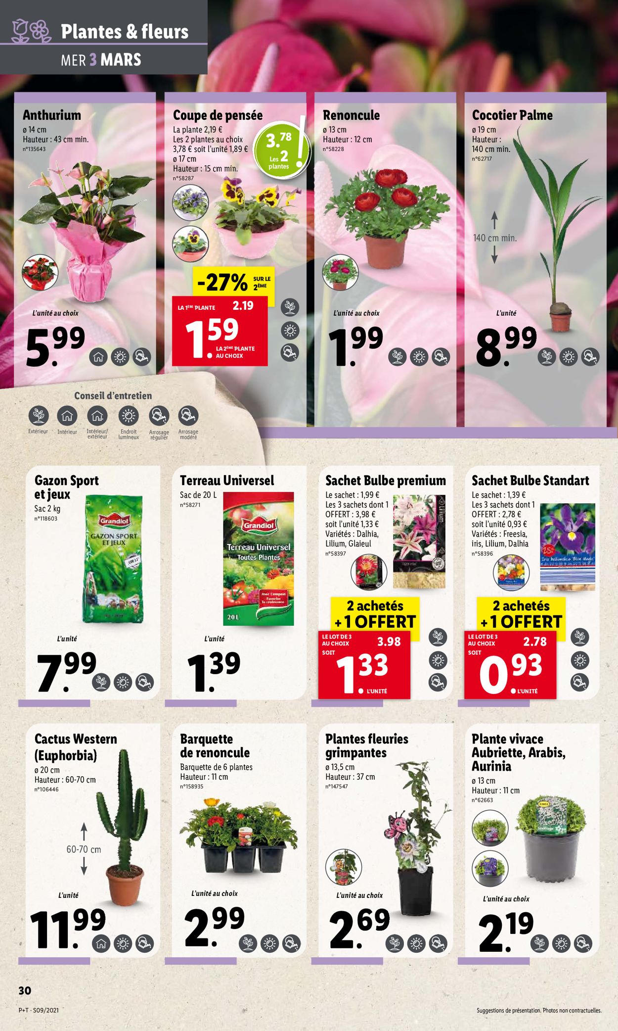 Lidl Catalogue - 03.03-09.03.2021 (Page 34)