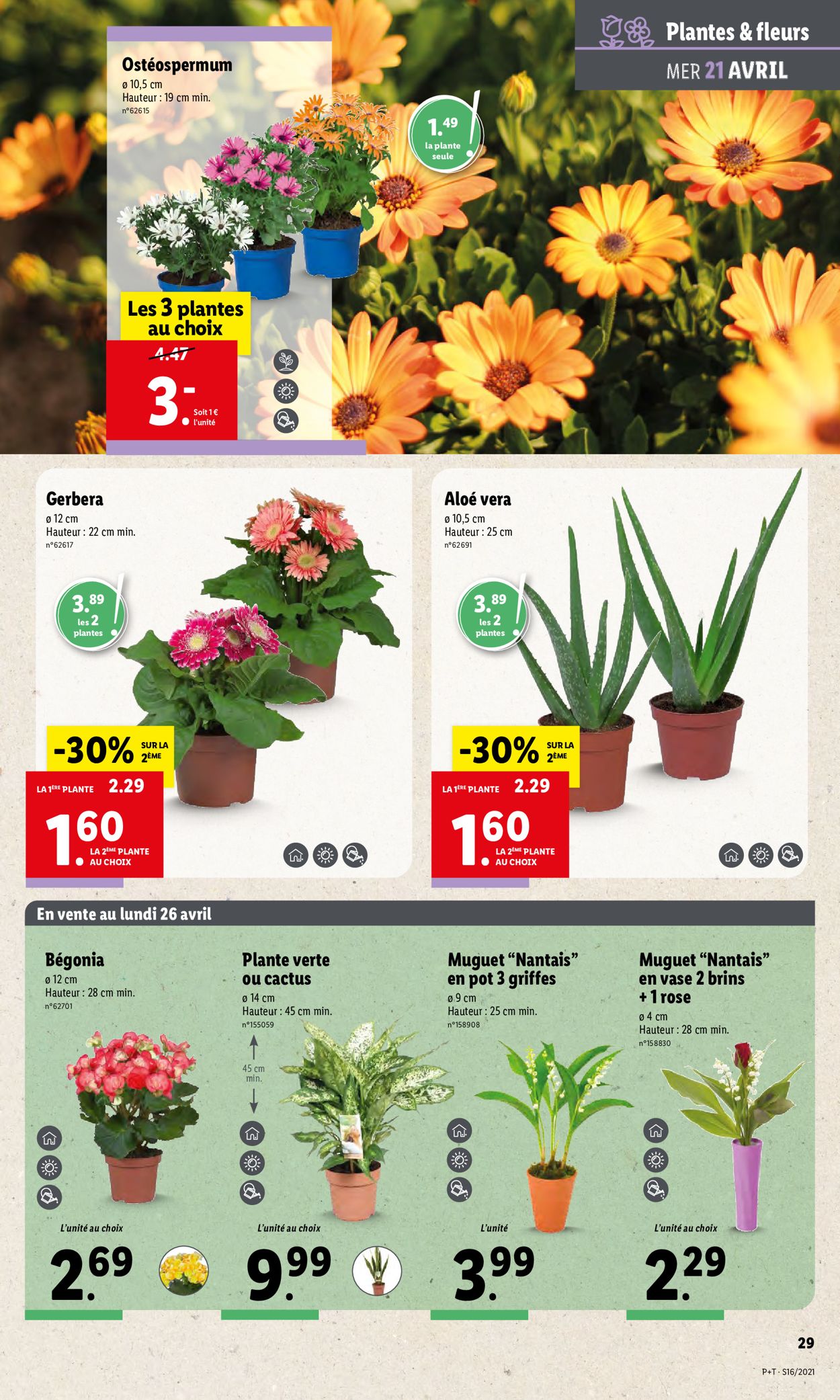 Lidl Catalogue - 21.04-27.04.2021 (Page 31)