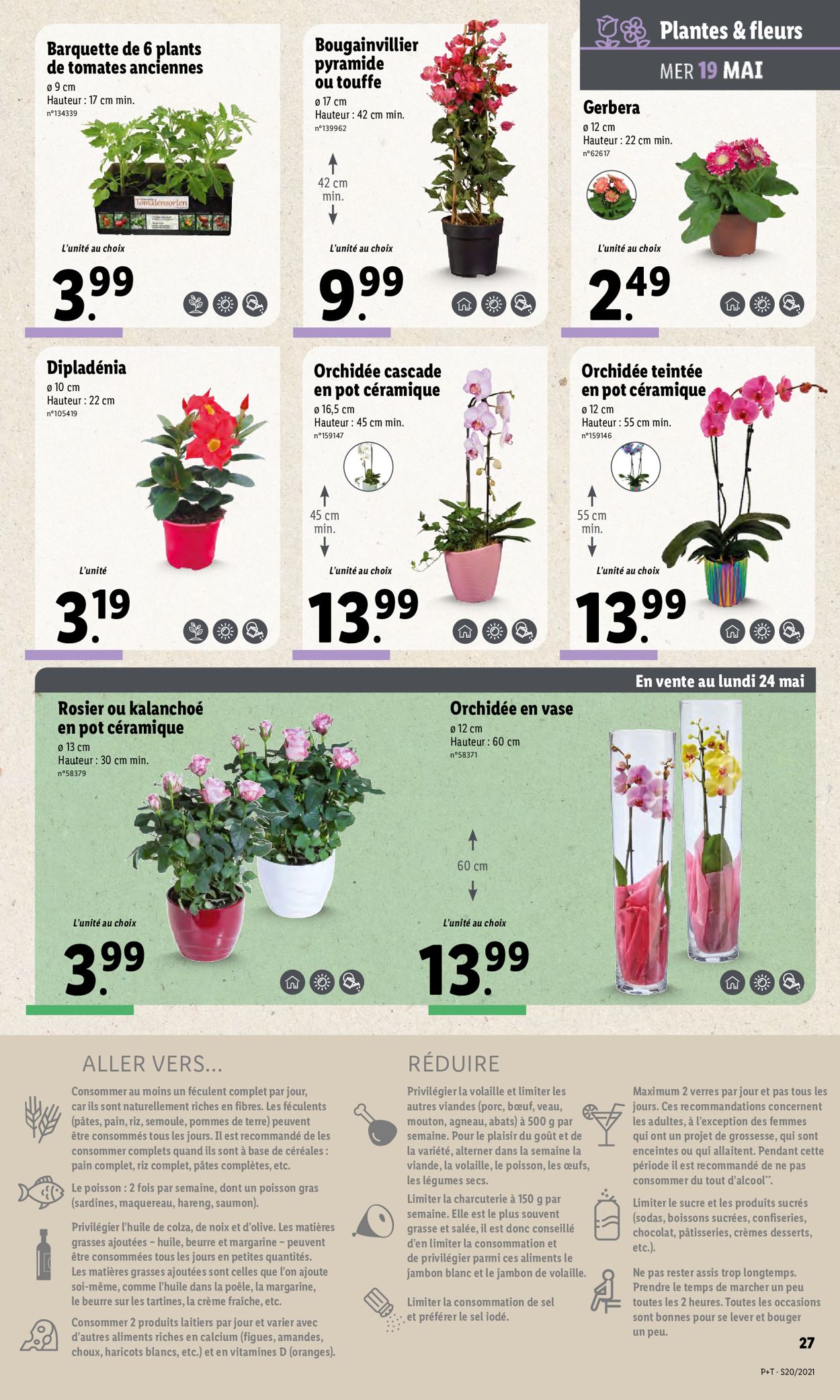 Lidl Catalogue - 19.05-25.05.2021 (Page 31)