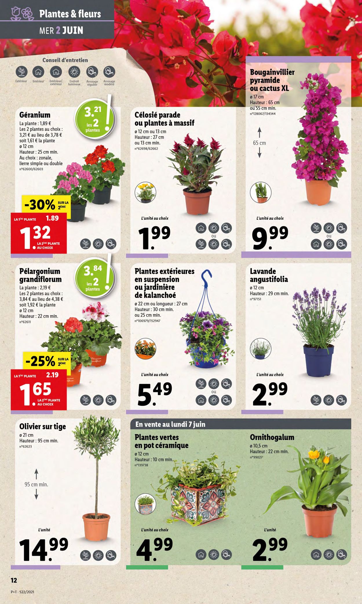 Lidl Catalogue - 02.06-08.06.2021 (Page 18)