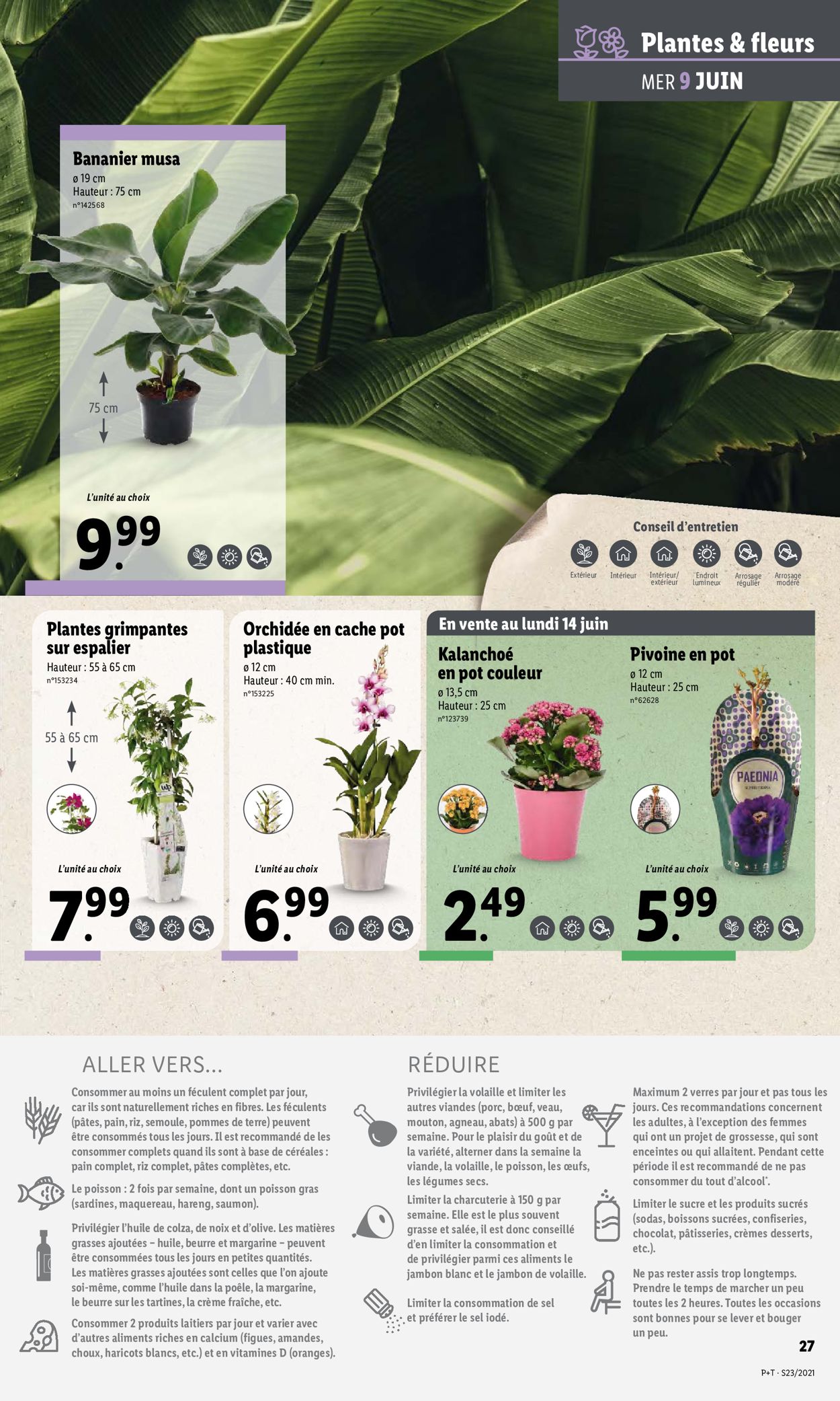 Lidl Catalogue - 09.06-15.06.2021 (Page 33)