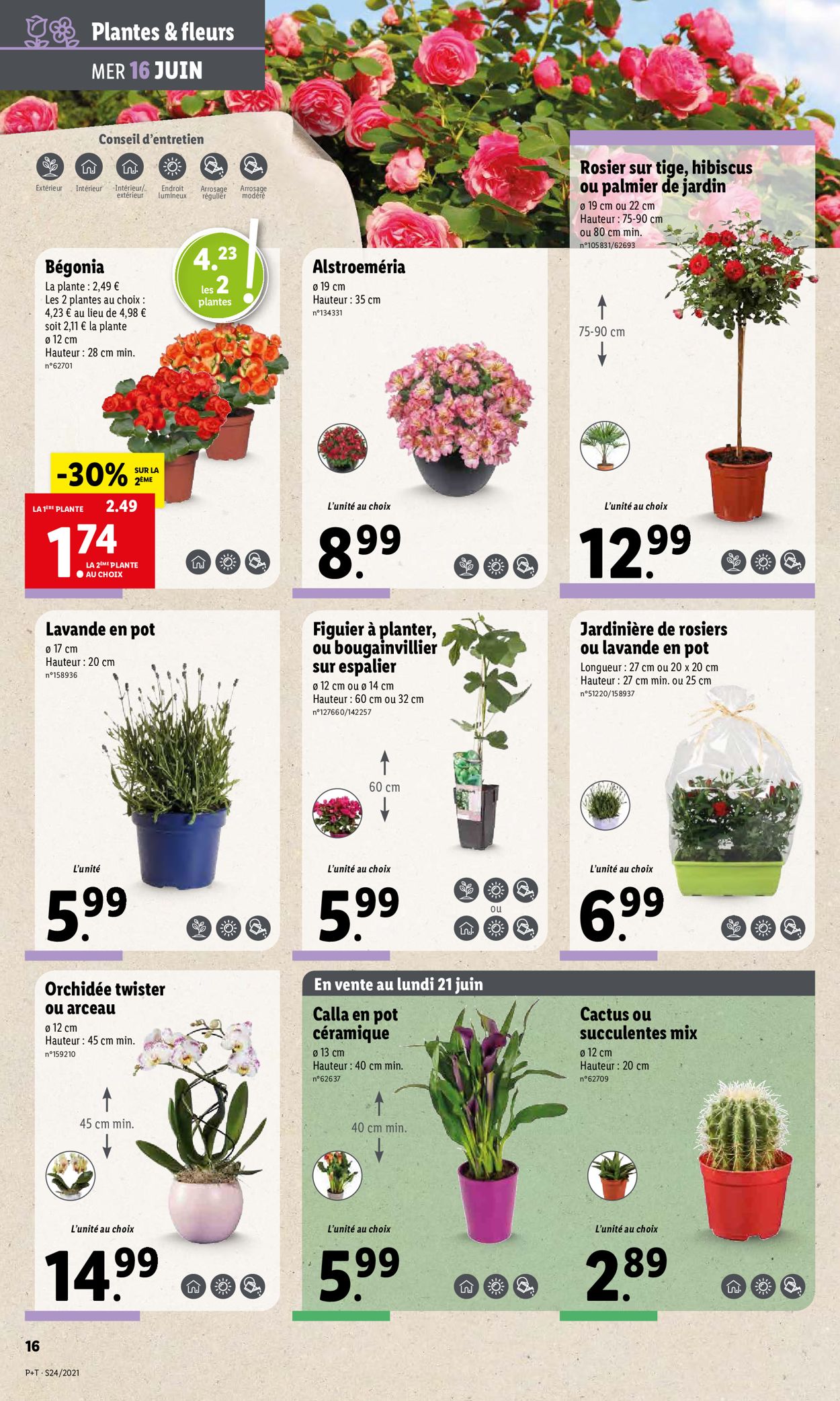 Lidl Catalogue - 16.06-22.06.2021 (Page 18)