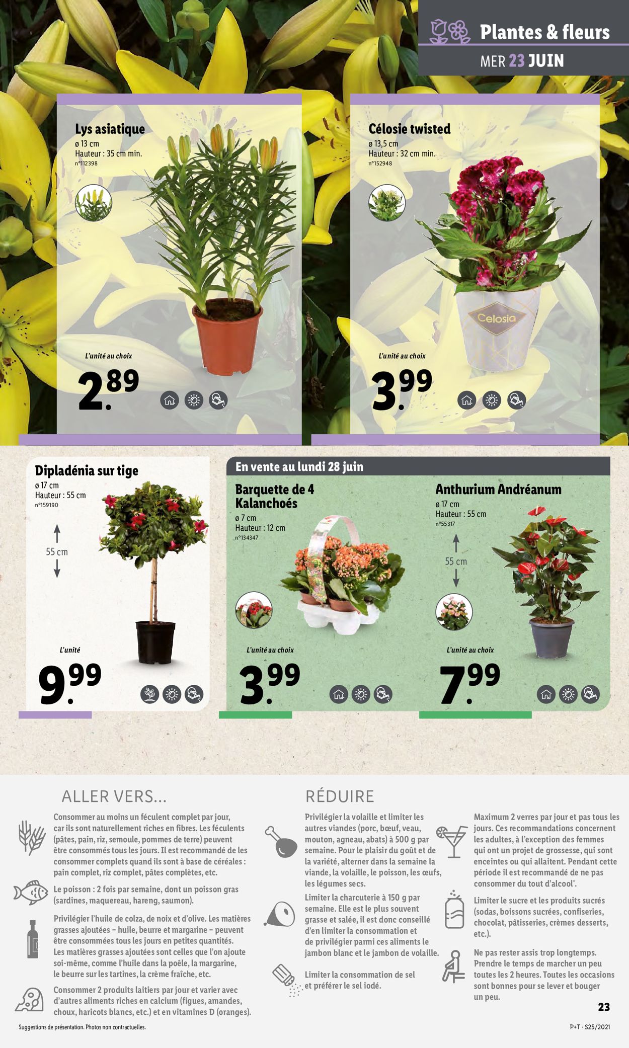 Lidl Catalogue - 23.06-29.06.2021 (Page 27)