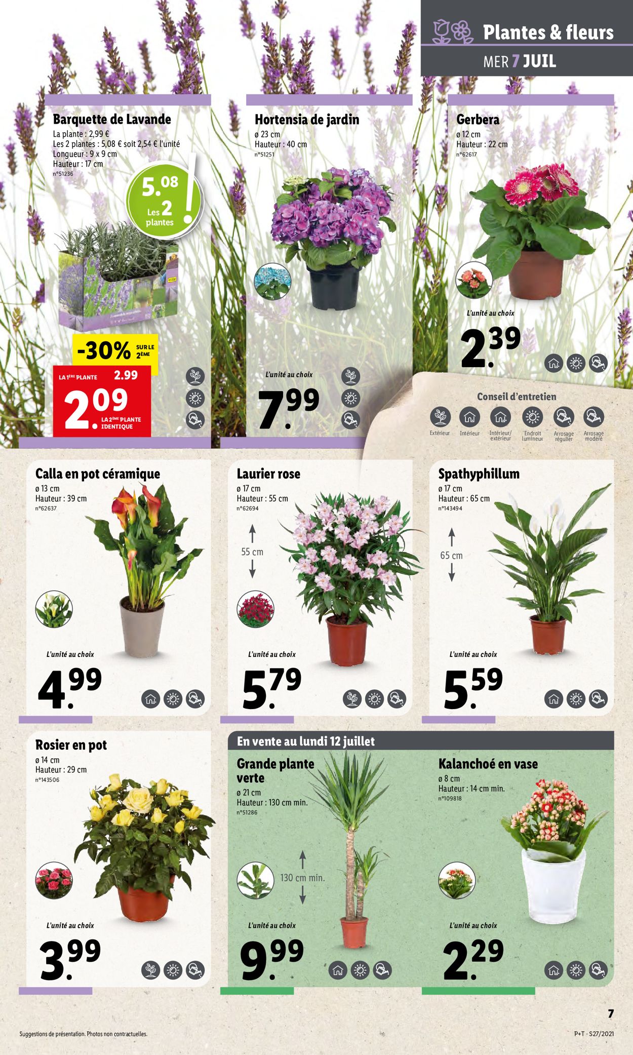 Lidl Catalogue - 07.07-13.07.2021 (Page 9)