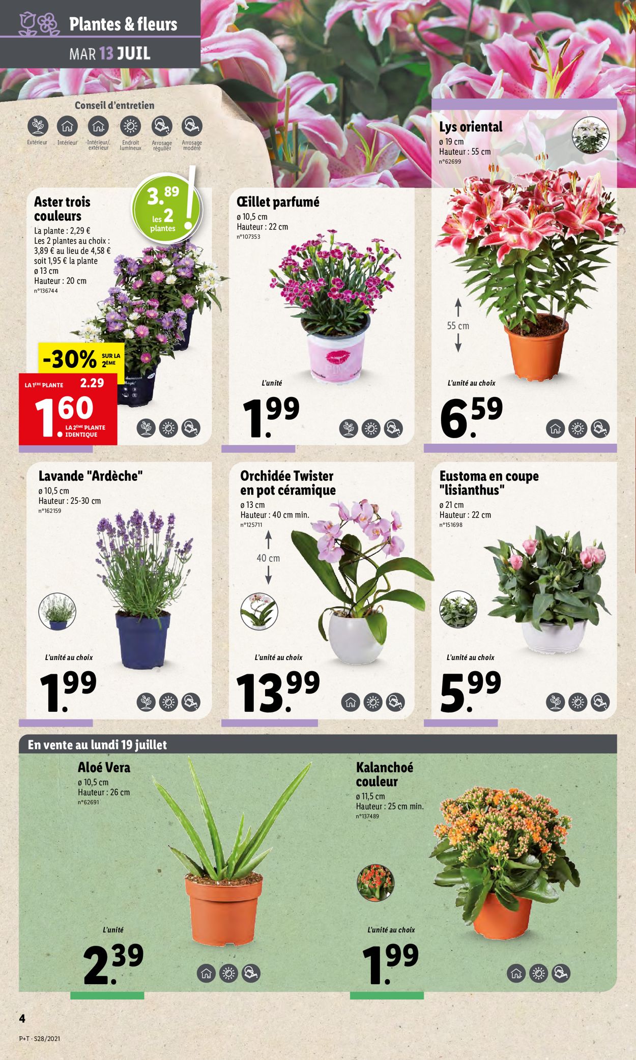Lidl Catalogue - 13.07-20.07.2021 (Page 5)
