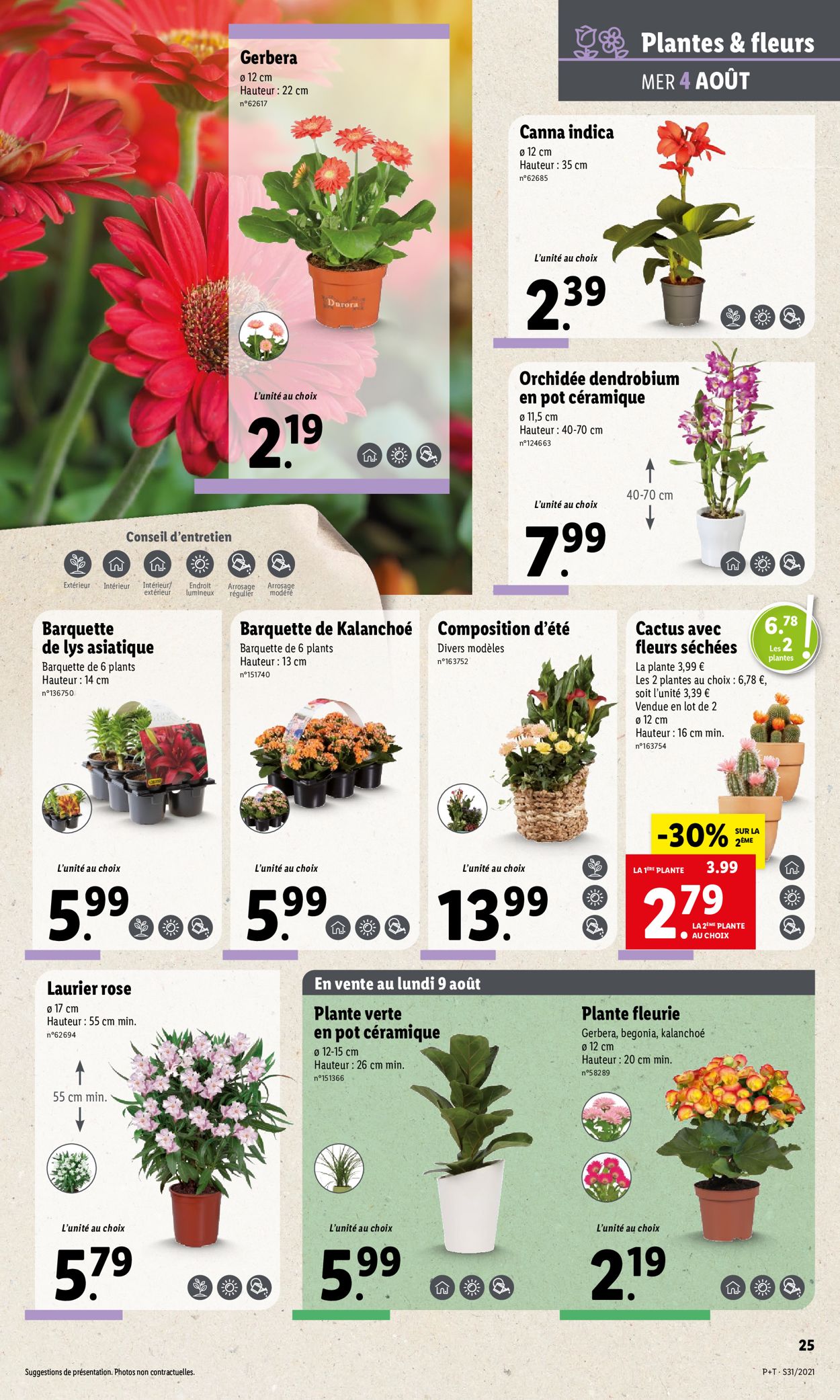 Lidl Catalogue - 04.08-10.08.2021 (Page 29)