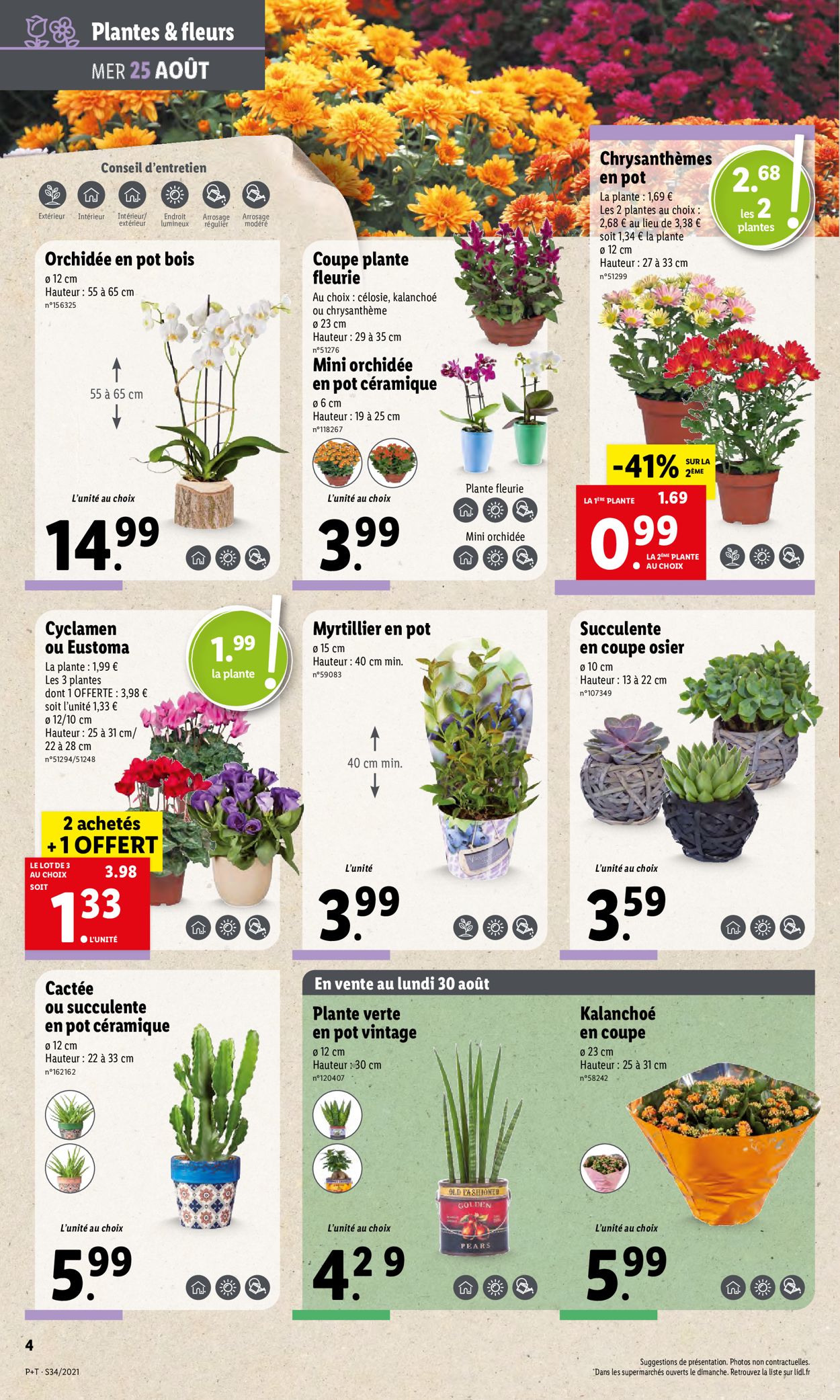 Lidl Catalogue - 25.08-31.08.2021 (Page 6)