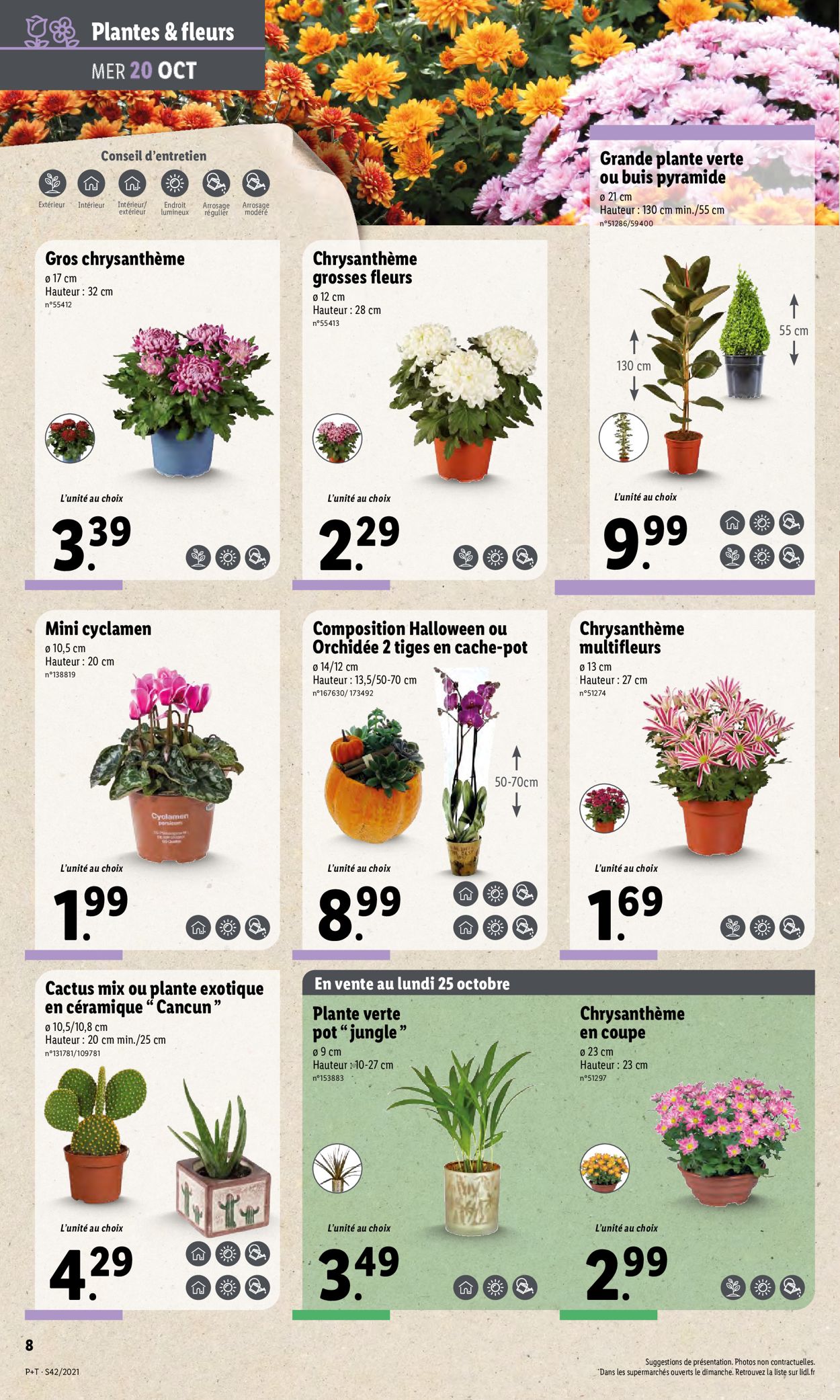 Lidl Catalogue - 20.10-26.10.2021 (Page 10)