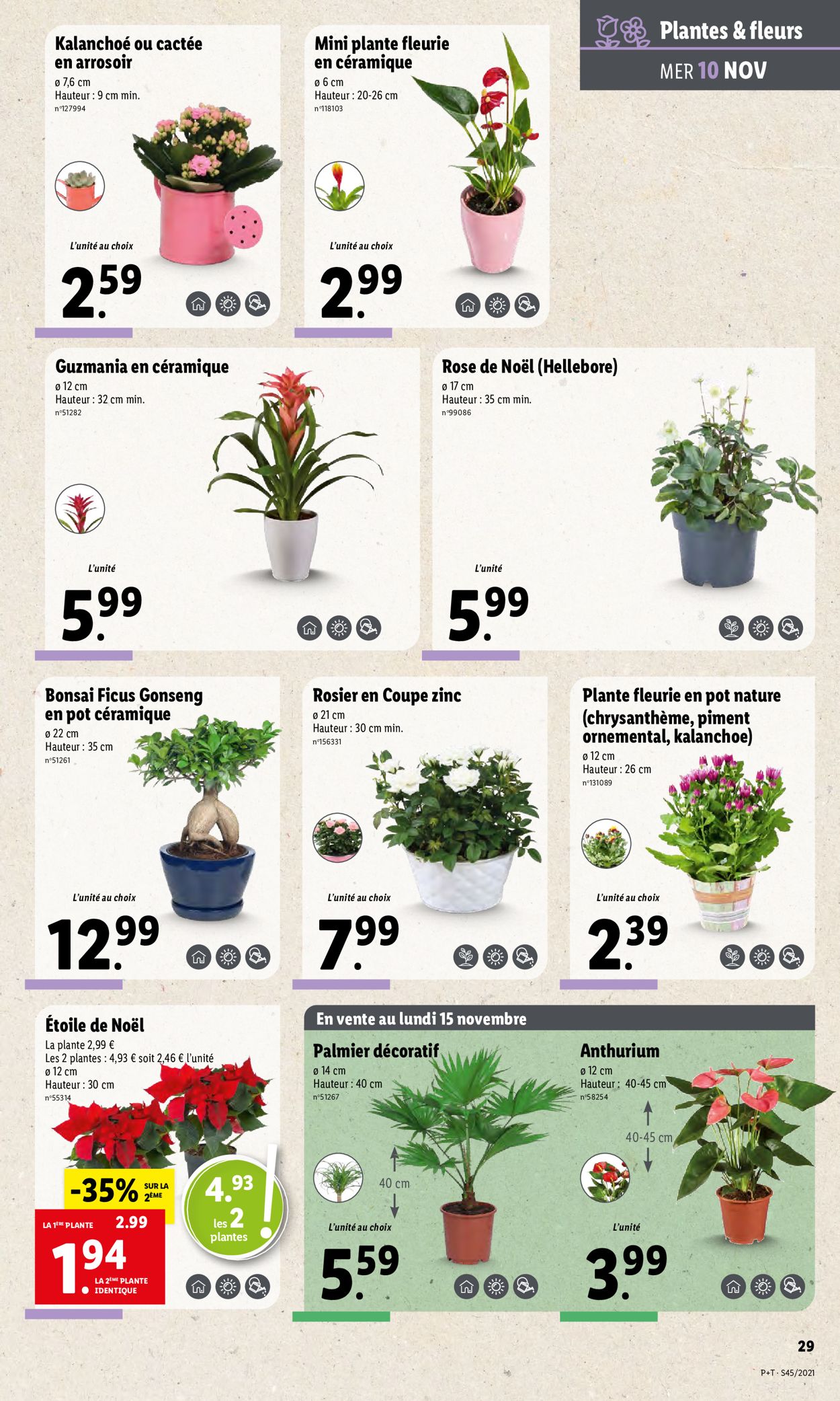 Lidl Catalogue - 10.11-16.11.2021 (Page 31)