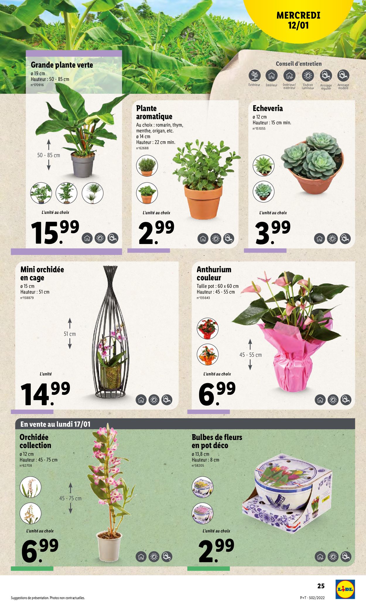 Lidl Catalogue - 12.01-18.01.2022 (Page 27)