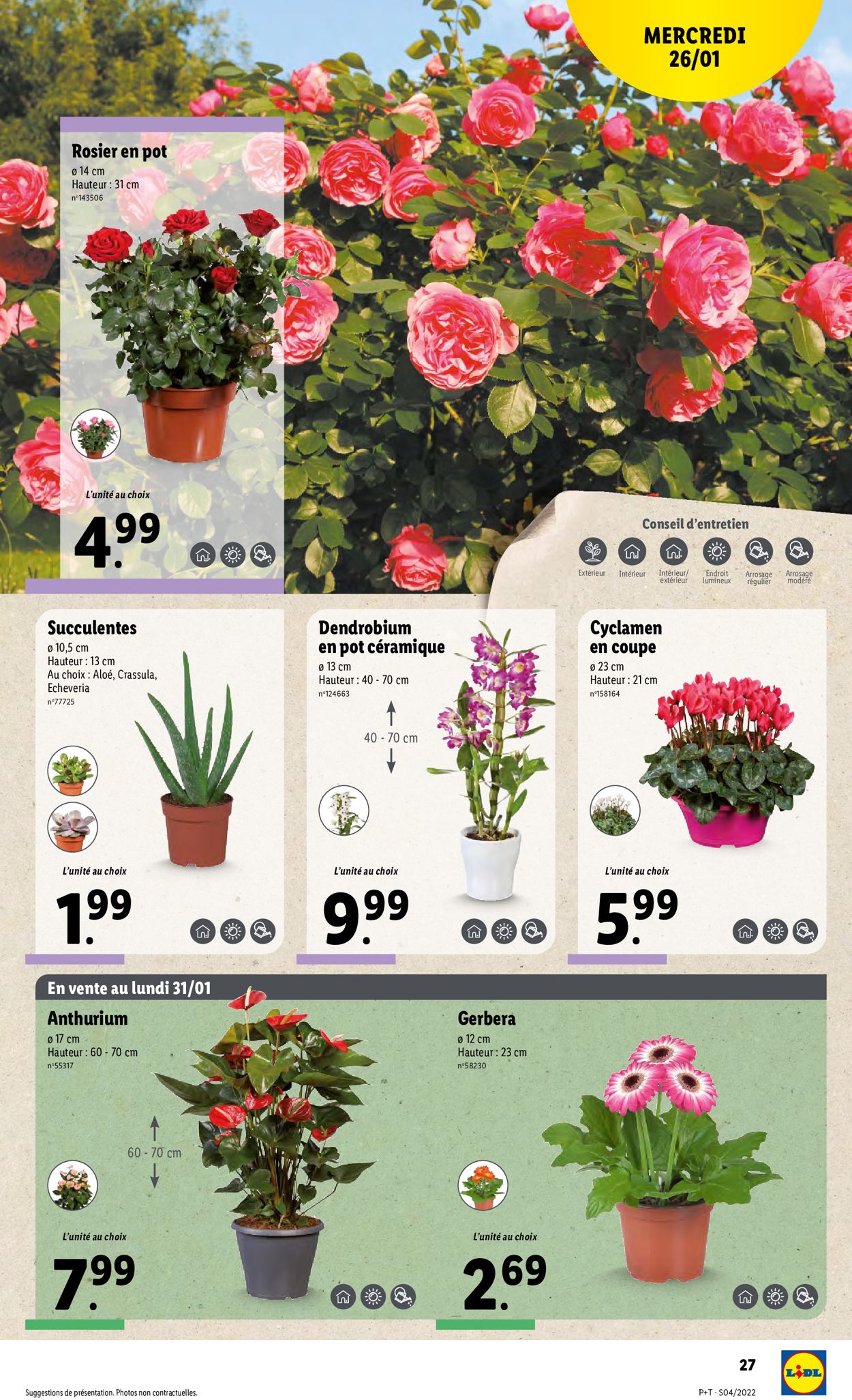 Lidl Catalogue - 26.01-01.02.2022 (Page 31)