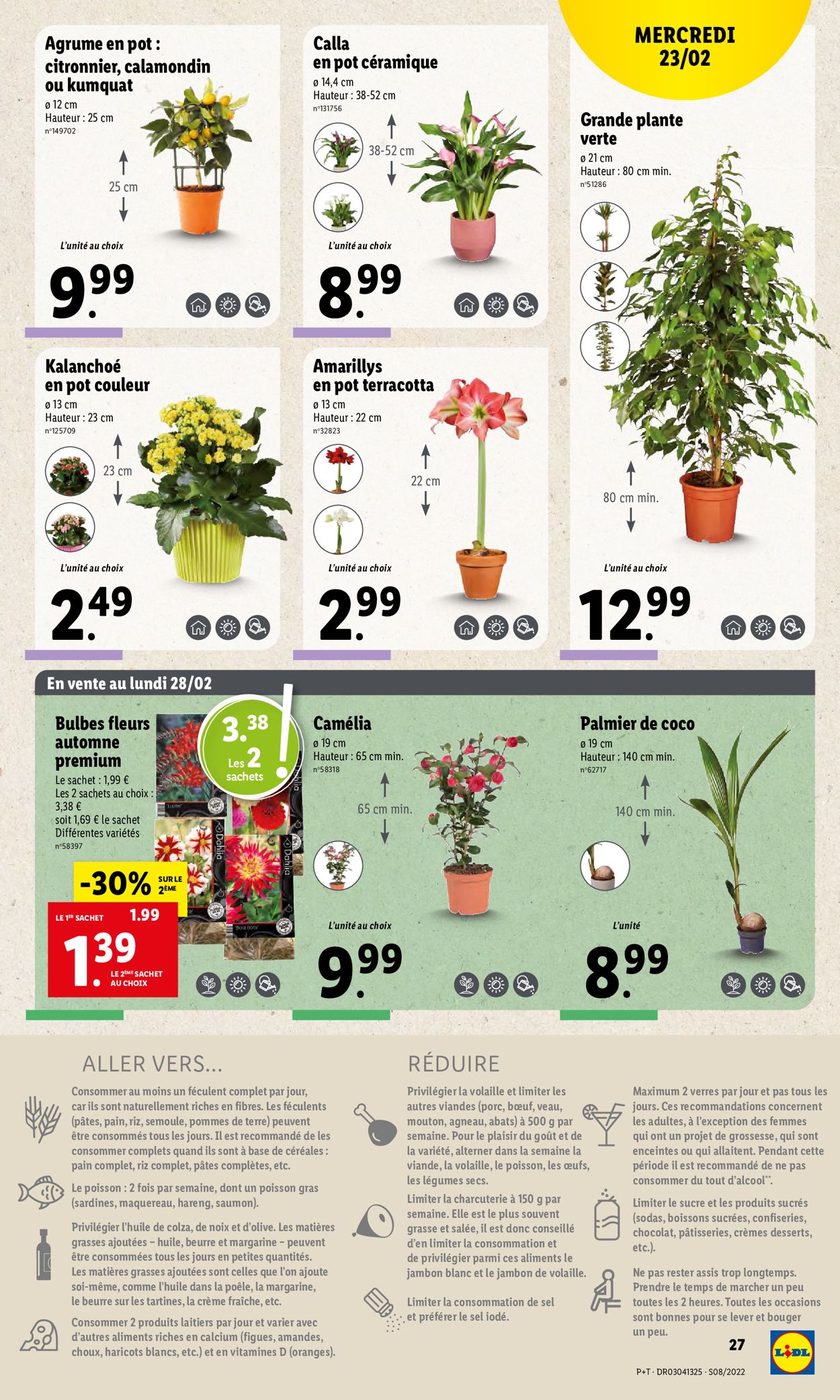 Lidl Catalogue - 23.02-01.03.2022 (Page 33)