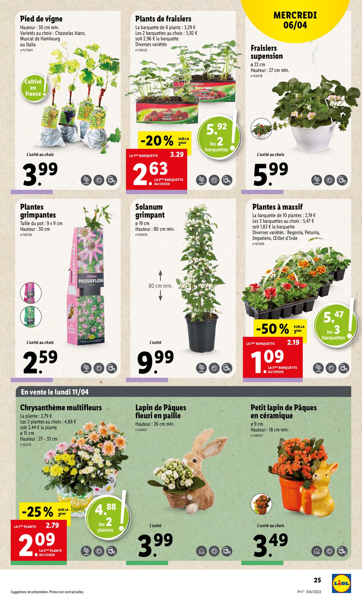 Lidl Catalogue - 06.04-12.04.2022 (Page 29)