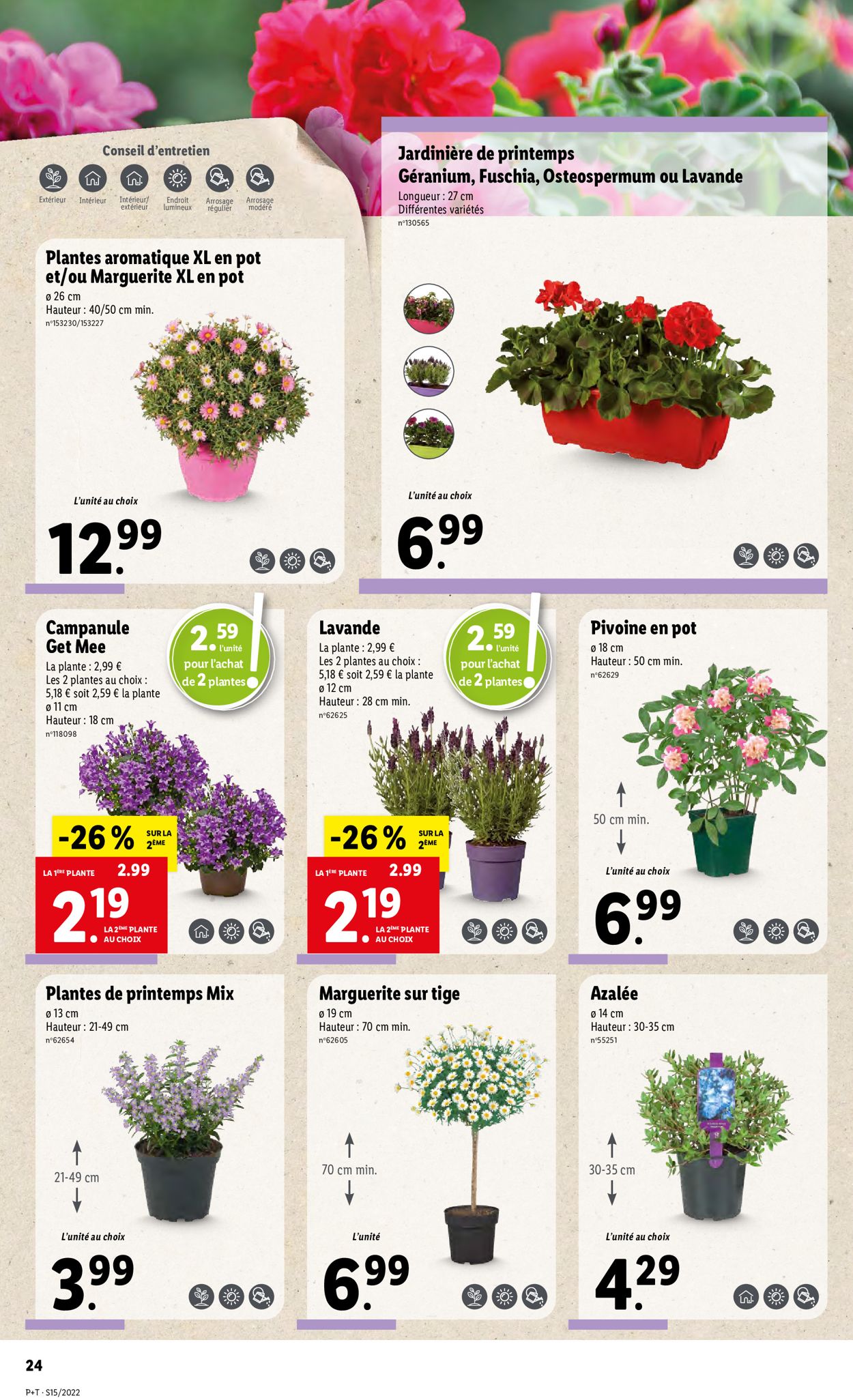 Lidl Catalogue - 13.04-19.04.2022 (Page 26)