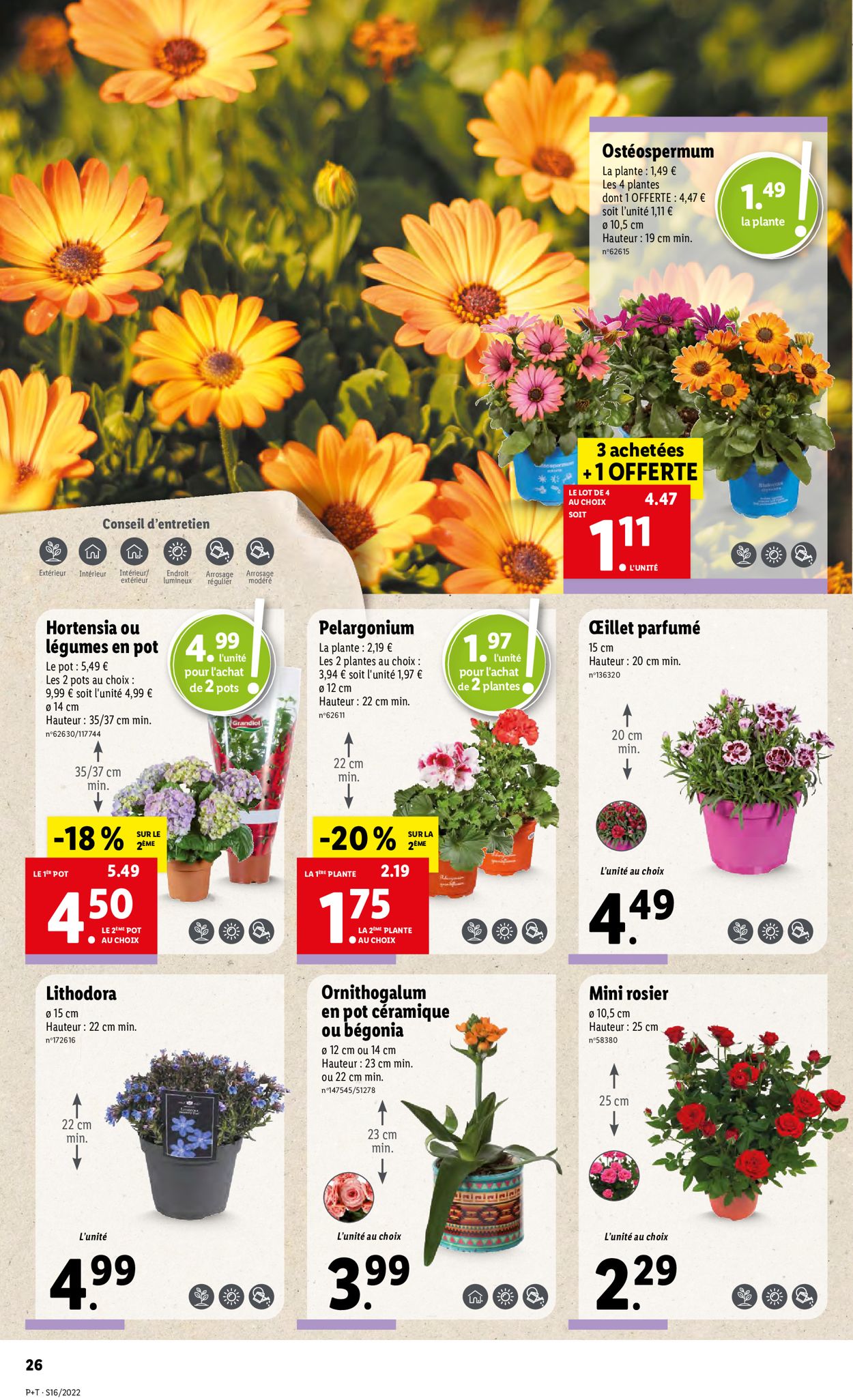 Lidl Catalogue - 20.04-26.04.2022 (Page 30)