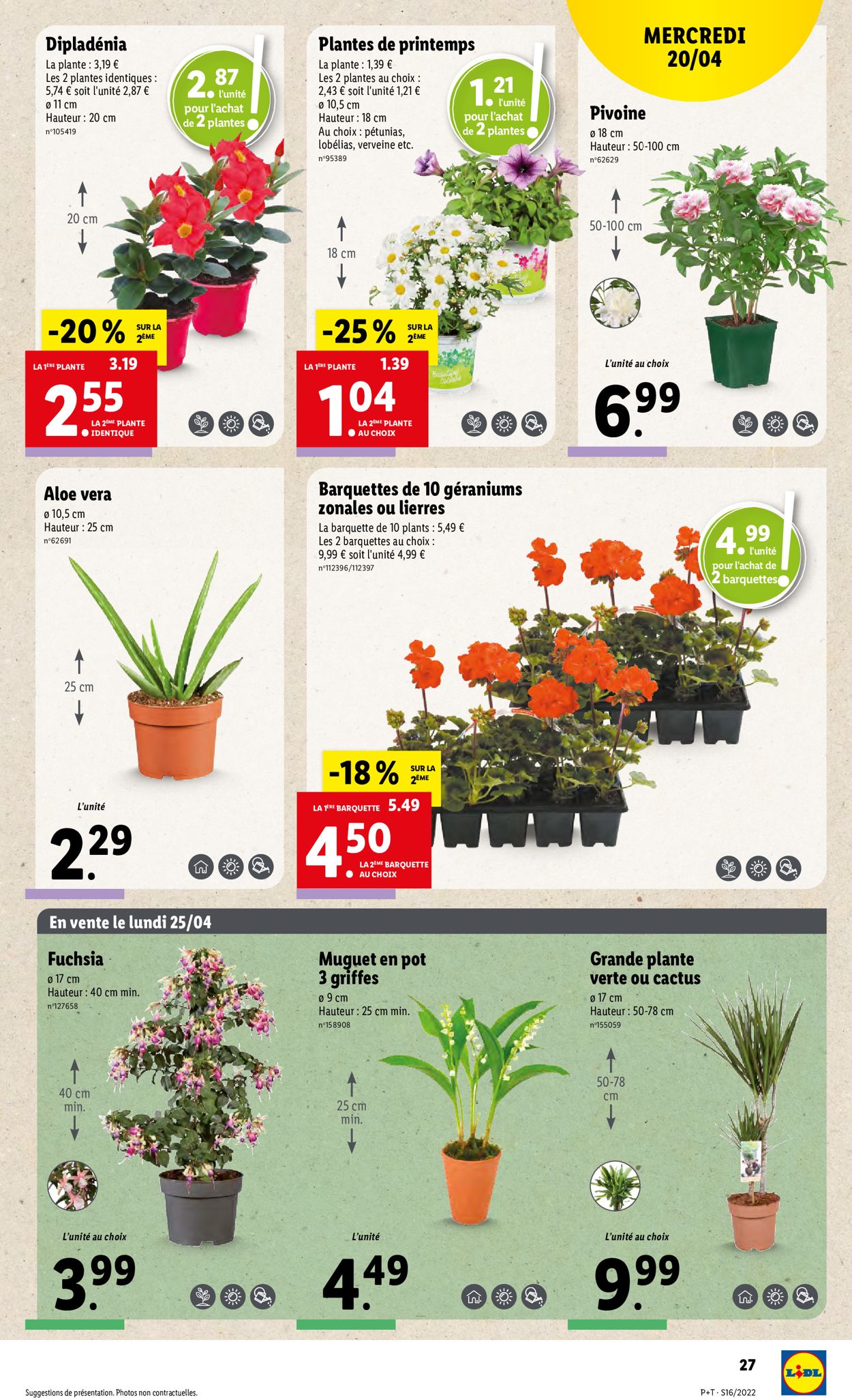 Lidl Catalogue - 20.04-26.04.2022 (Page 31)