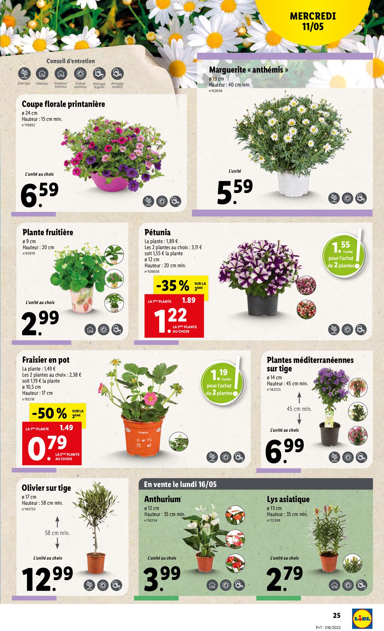 Lidl Catalogue - 11.05-17.05.2022 (Page 29)