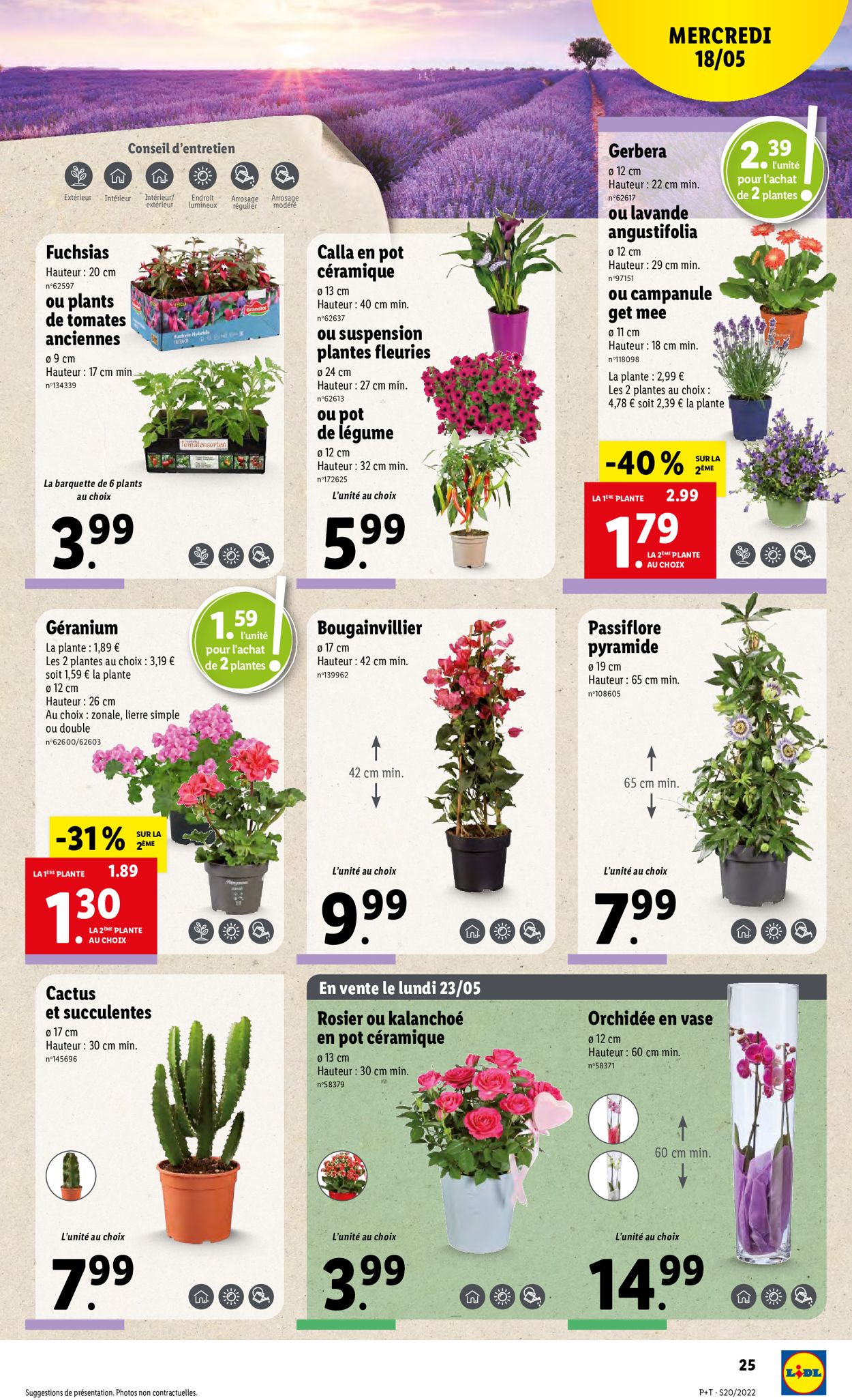 Lidl Catalogue - 18.05-24.05.2022 (Page 27)