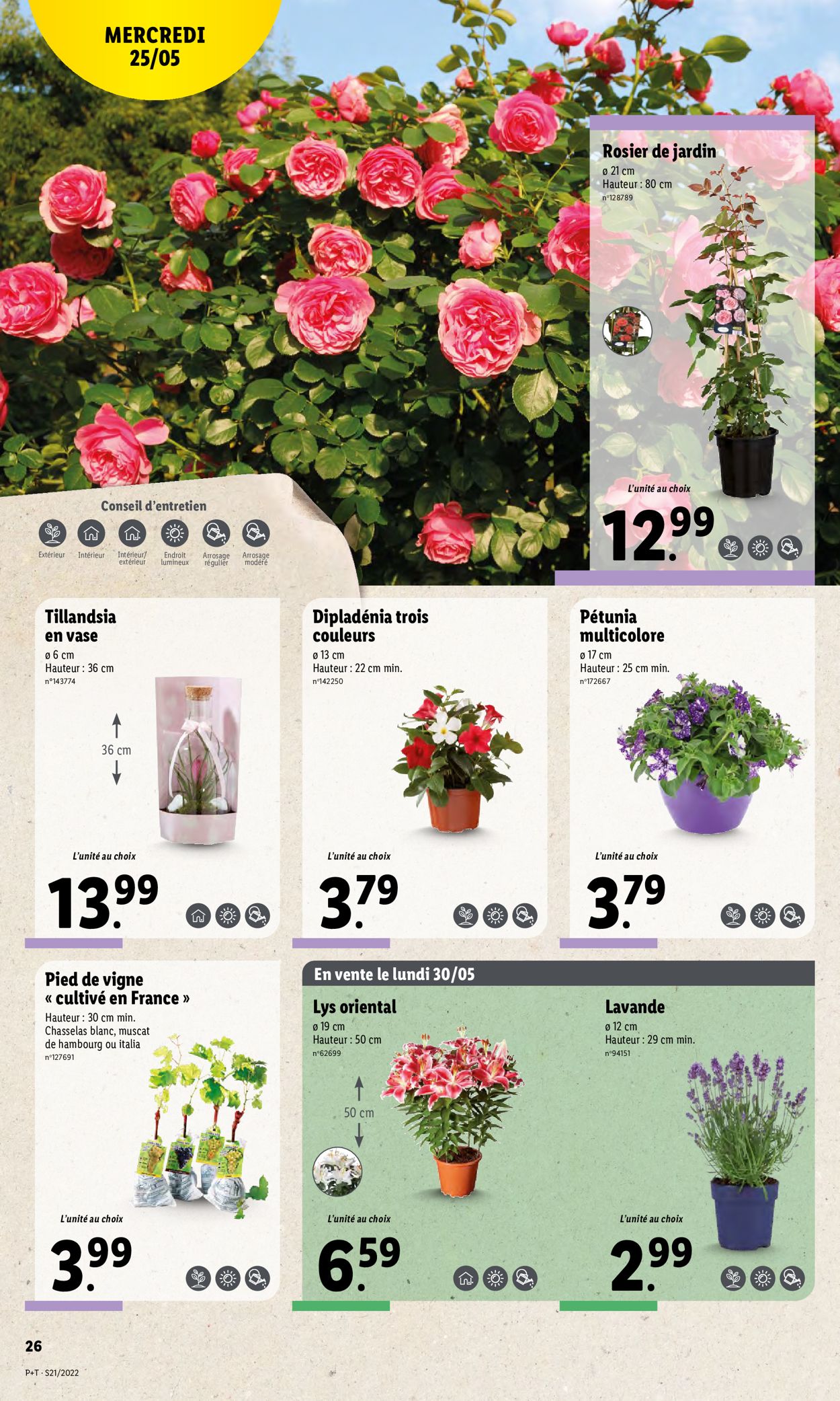 Lidl Catalogue - 25.05-31.05.2022 (Page 28)
