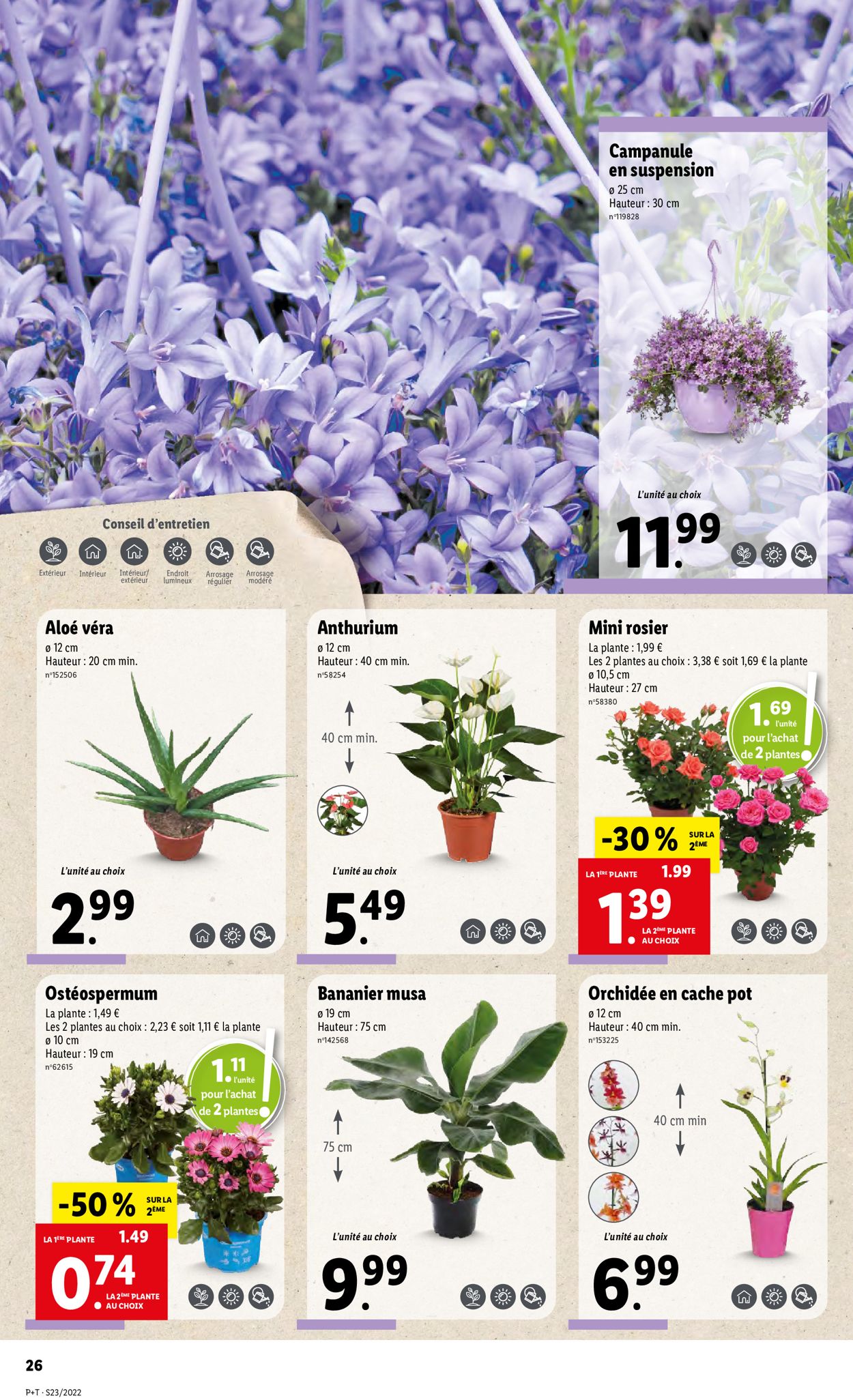Lidl Catalogue - 08.06-14.06.2022 (Page 30)