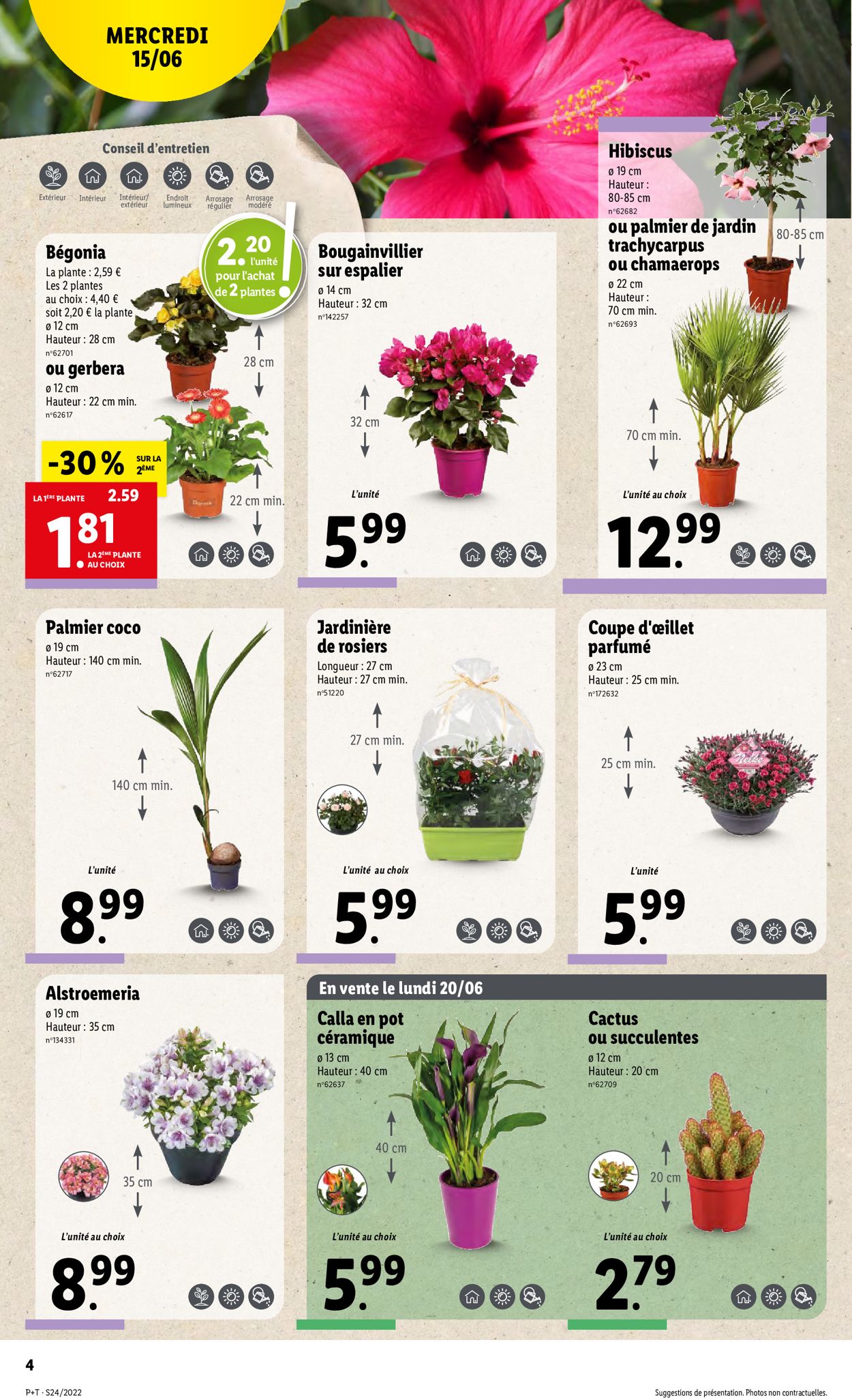 Lidl Catalogue - 15.06-21.06.2022 (Page 4)