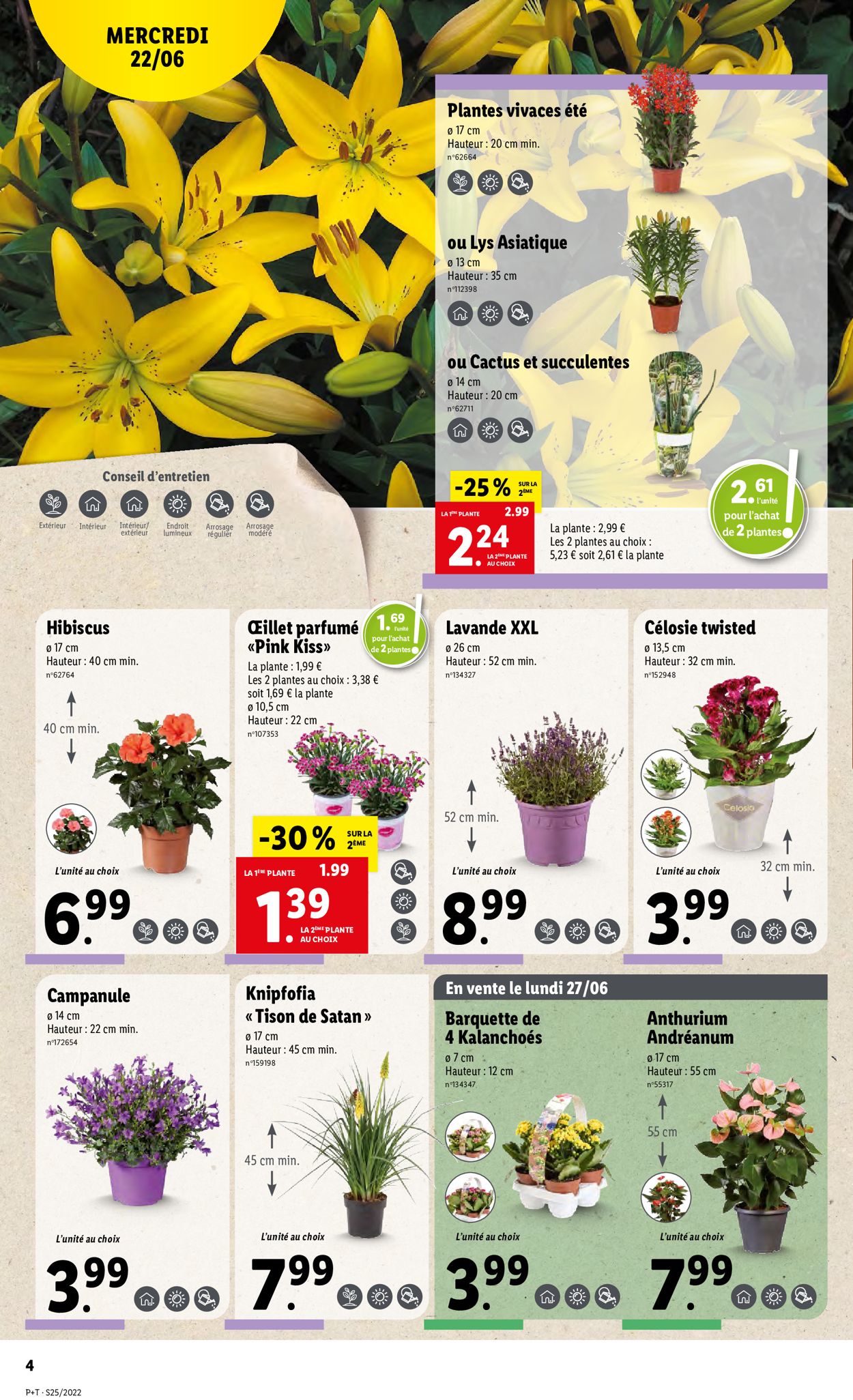 Lidl Catalogue - 22.06-28.06.2022 (Page 5)