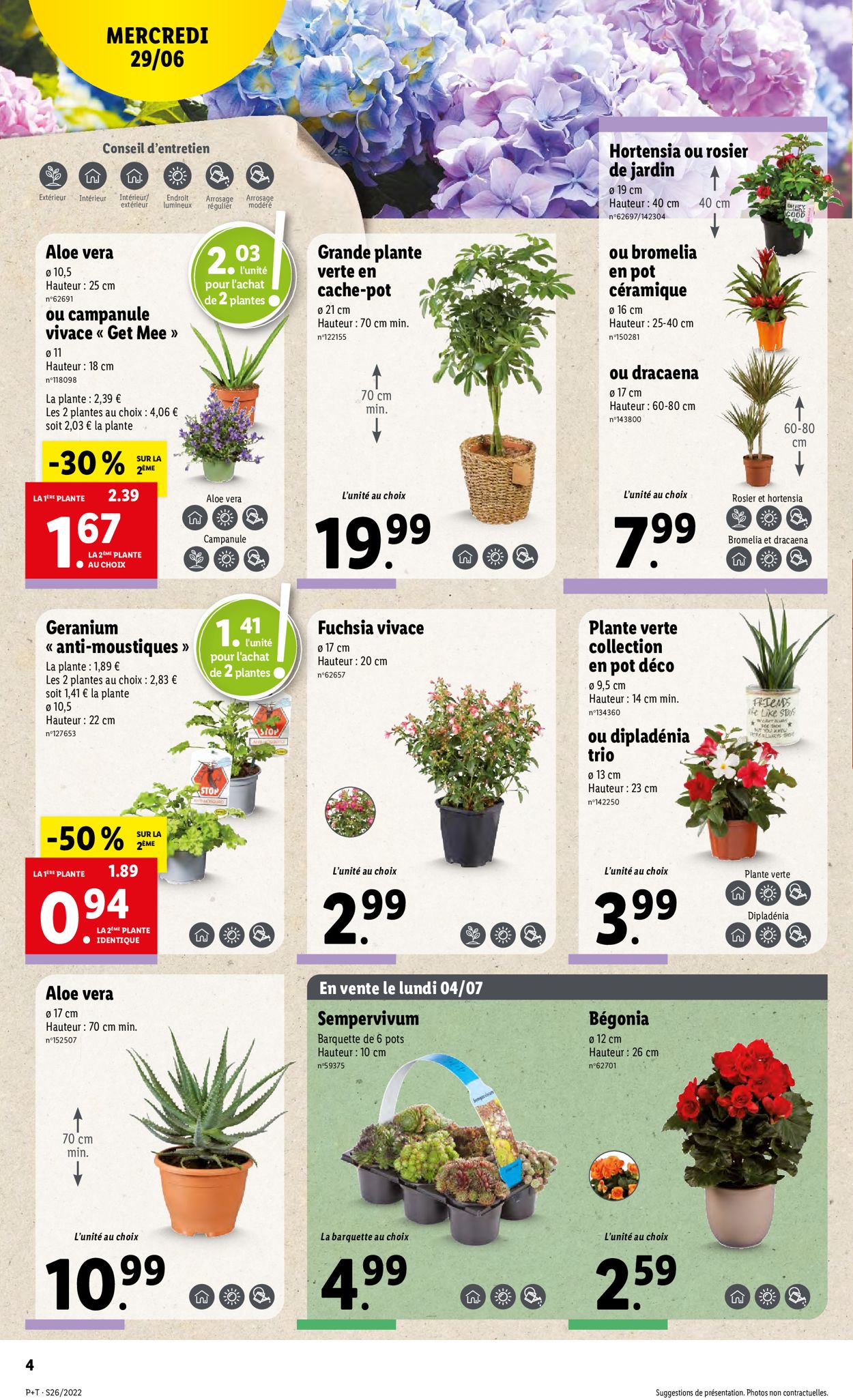 Lidl Catalogue - 29.06-05.07.2022 (Page 4)