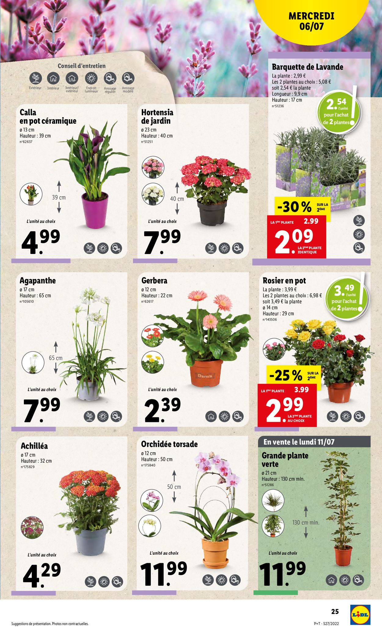 Lidl Catalogue - 06.07-12.07.2022 (Page 29)