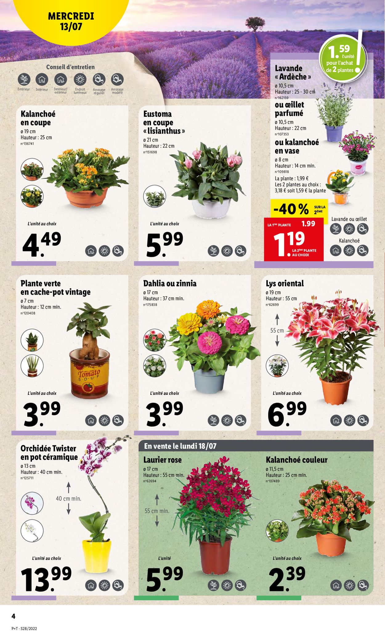 Lidl Catalogue - 13.07-19.07.2022 (Page 4)