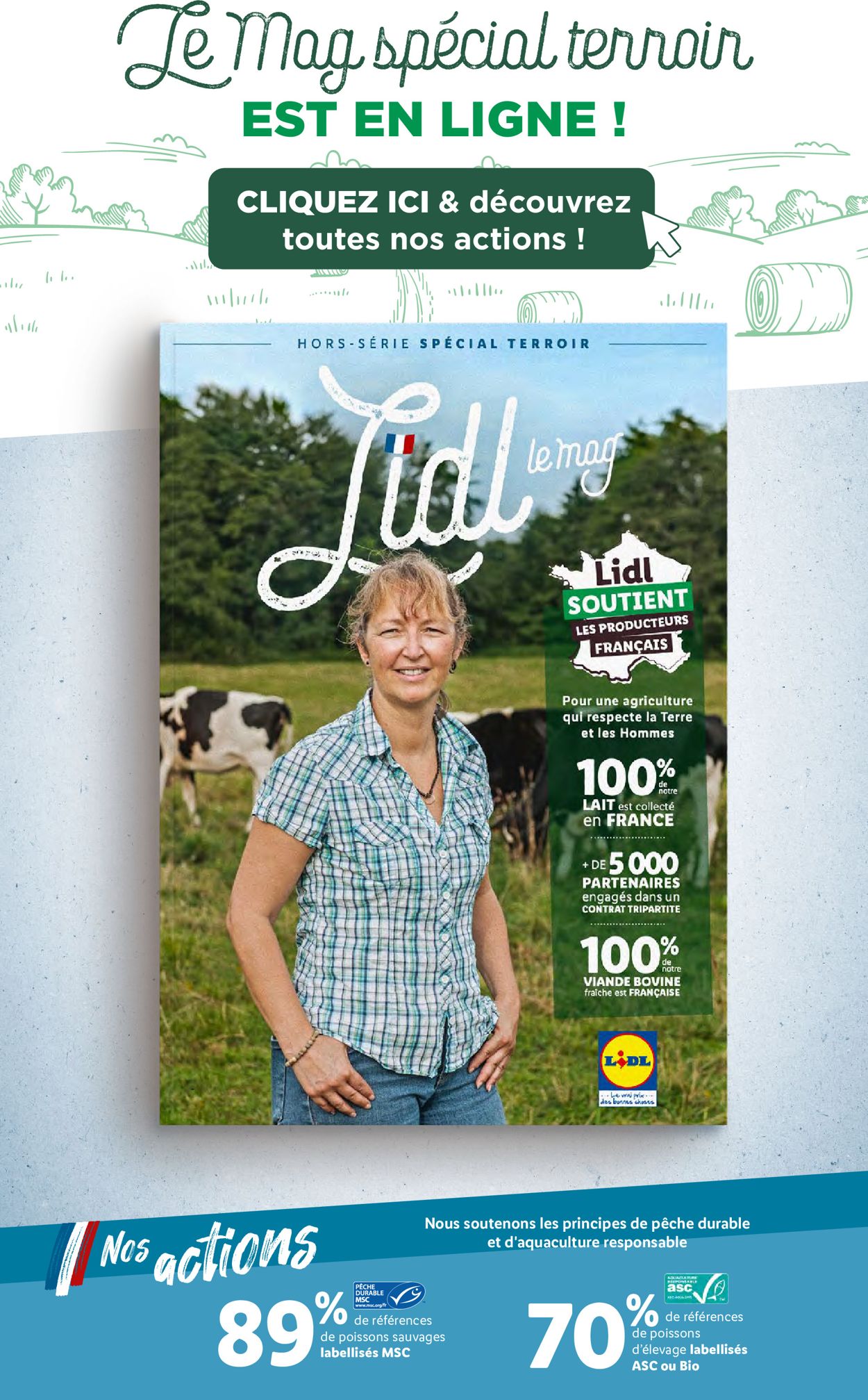 Lidl Catalogue - 03.08-09.08.2022 (Page 51)