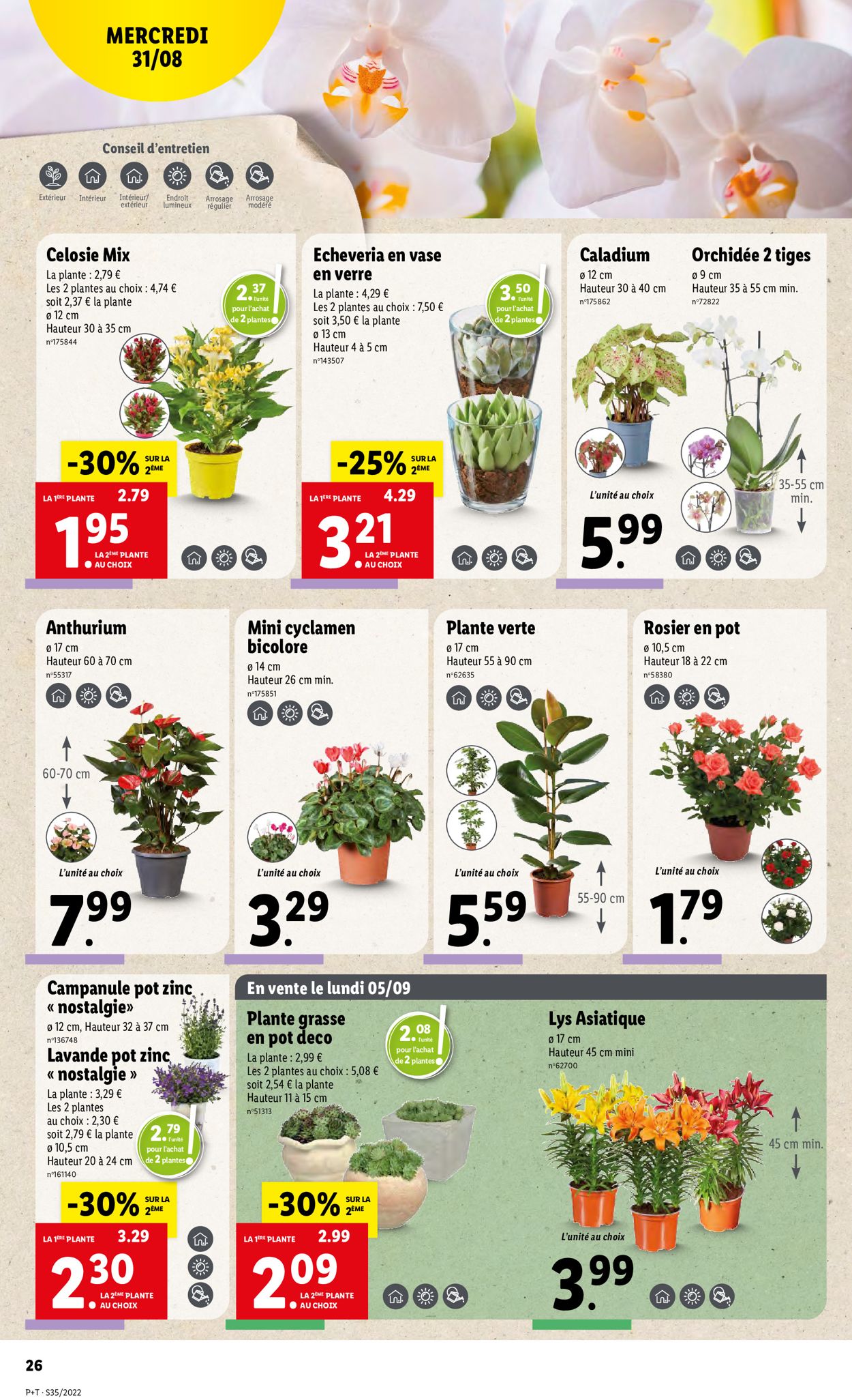 Lidl Catalogue - 31.08-06.09.2022 (Page 28)