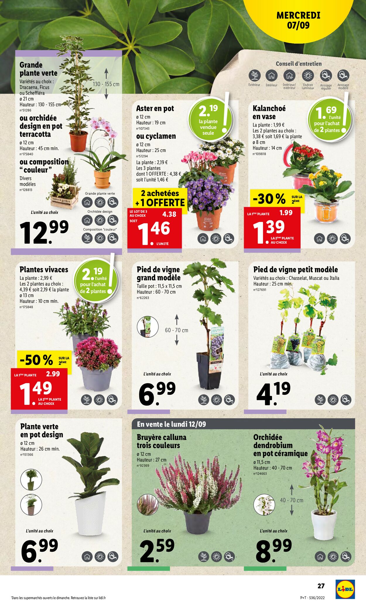 Lidl Catalogue - 07.09-13.09.2022 (Page 29)