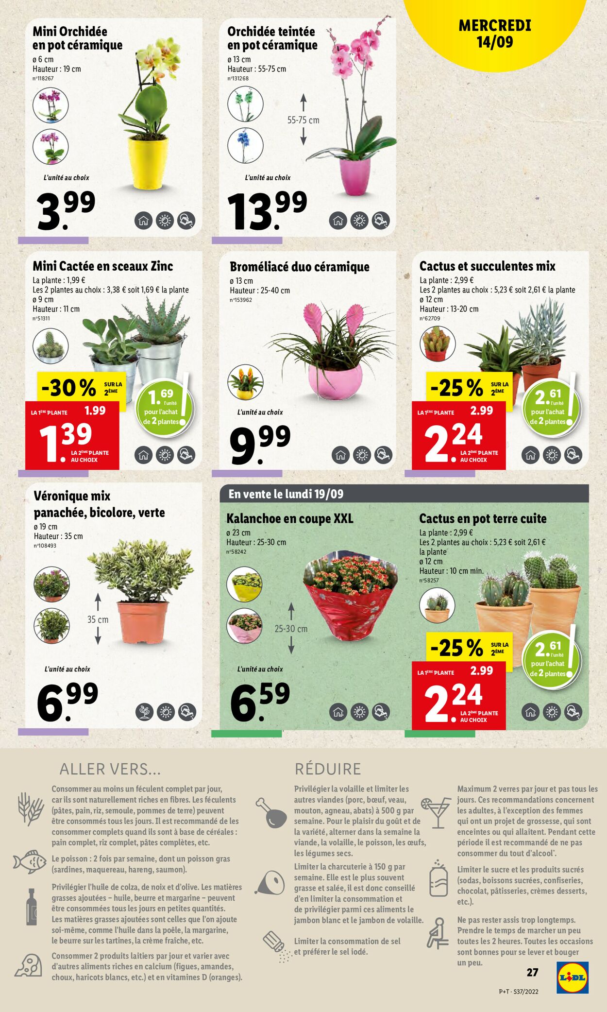 Lidl Catalogue - 14.09-20.09.2022 (Page 29)