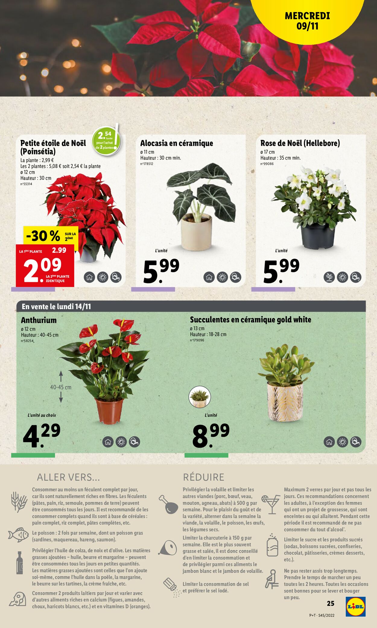 Lidl Catalogue - 09.11-15.11.2022 (Page 25)
