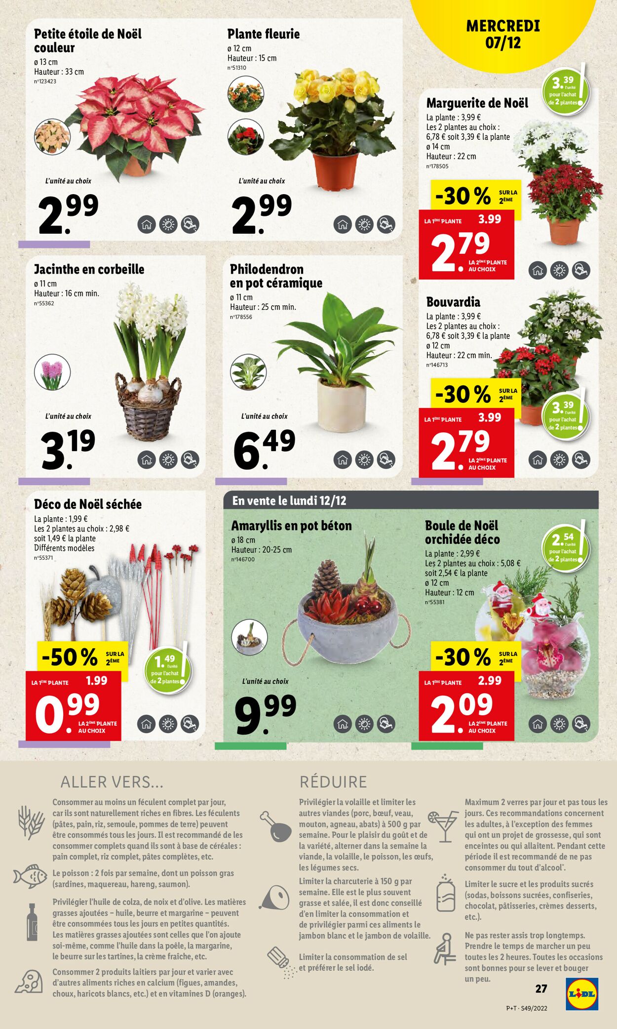Lidl Catalogue - 07.12-13.12.2022 (Page 31)