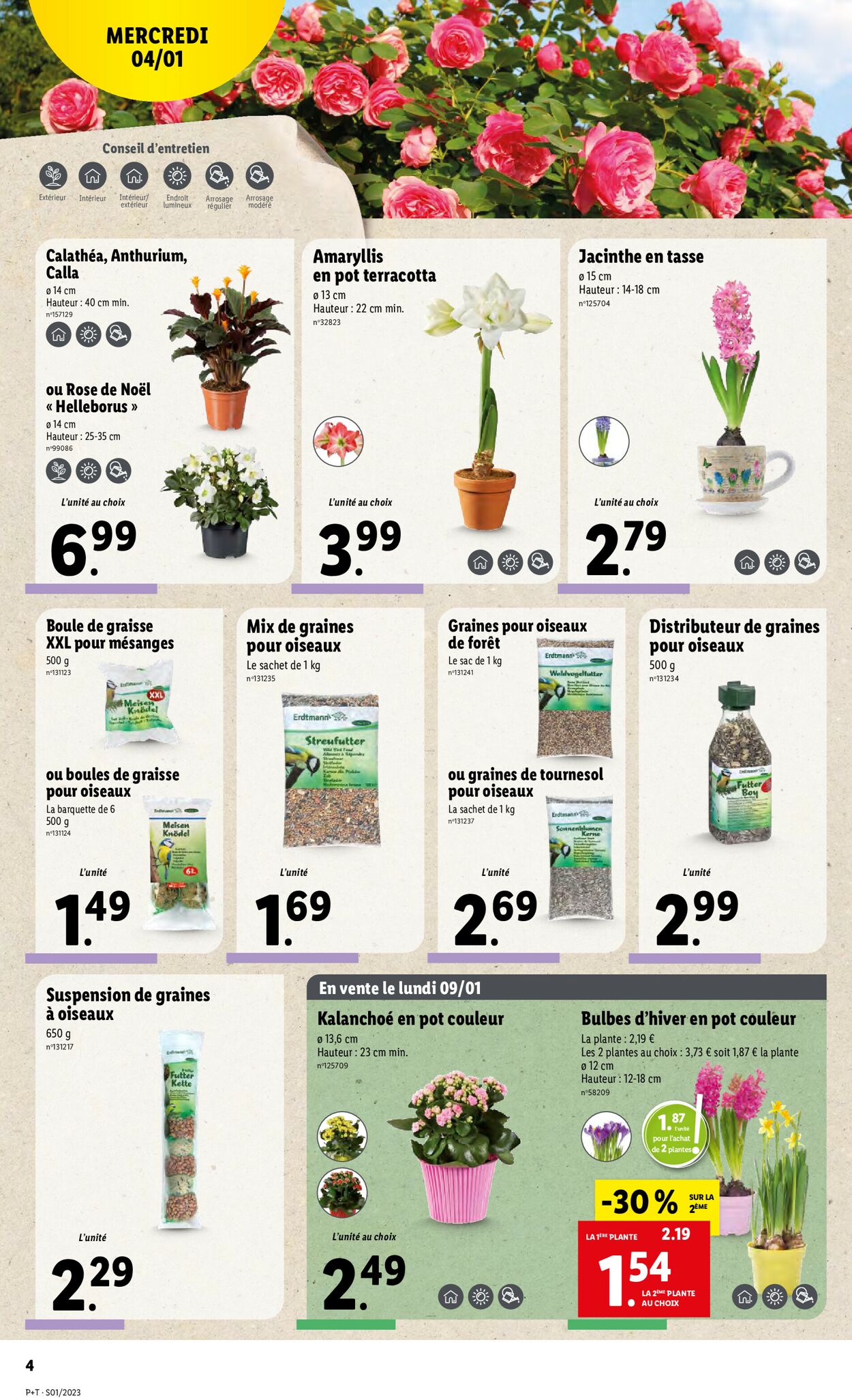Lidl Catalogue - 04.01-10.01.2023 (Page 4)