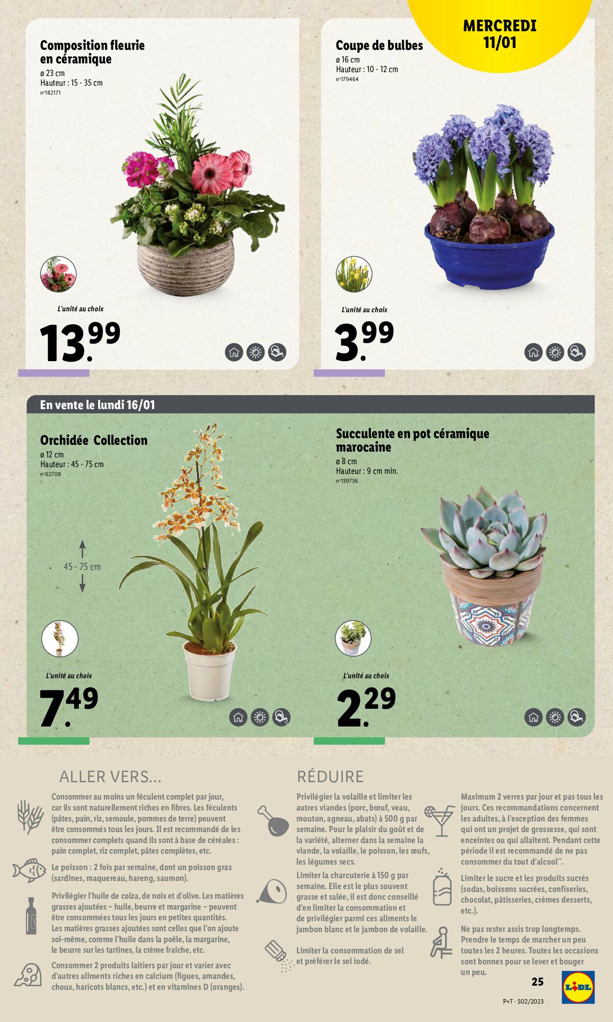 Lidl Catalogue - 11.01-17.01.2023 (Page 27)