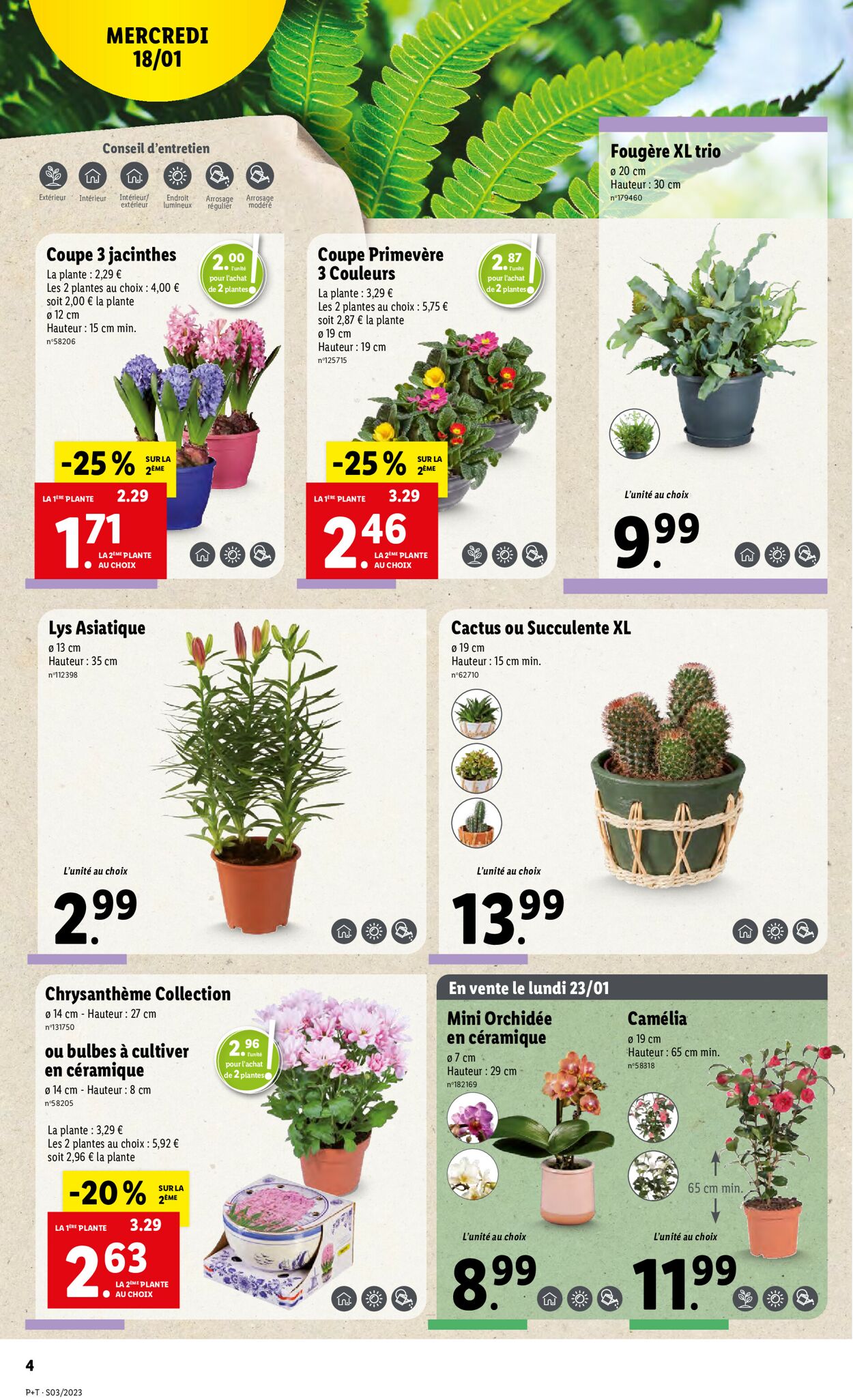 Lidl Catalogue - 18.01-24.01.2023 (Page 4)