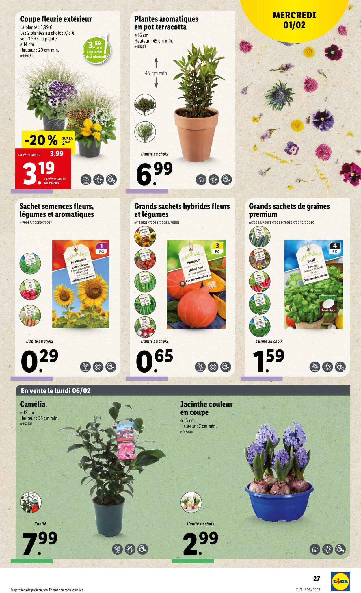 Lidl Catalogue - 01.02-07.02.2023 (Page 29)