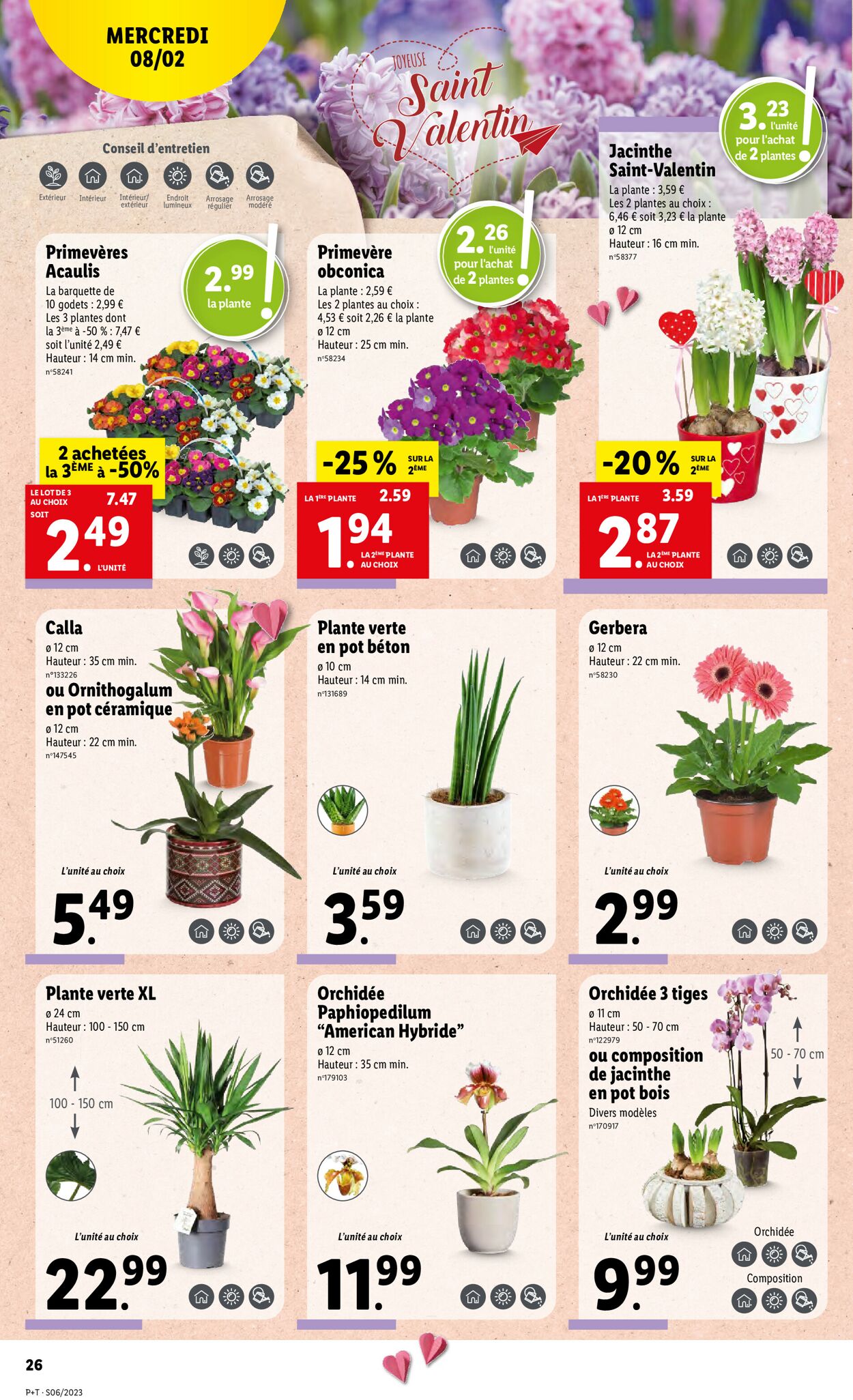 Lidl Catalogue - 08.02-14.02.2023 (Page 26)